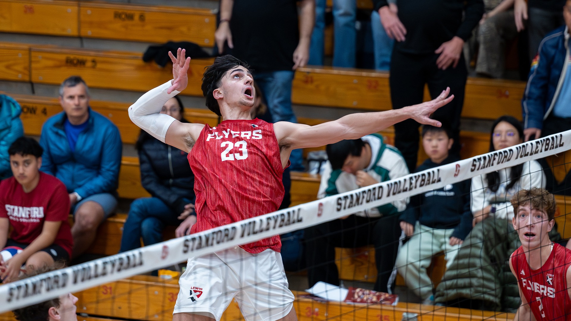 Deyan Todorov goes for a kill