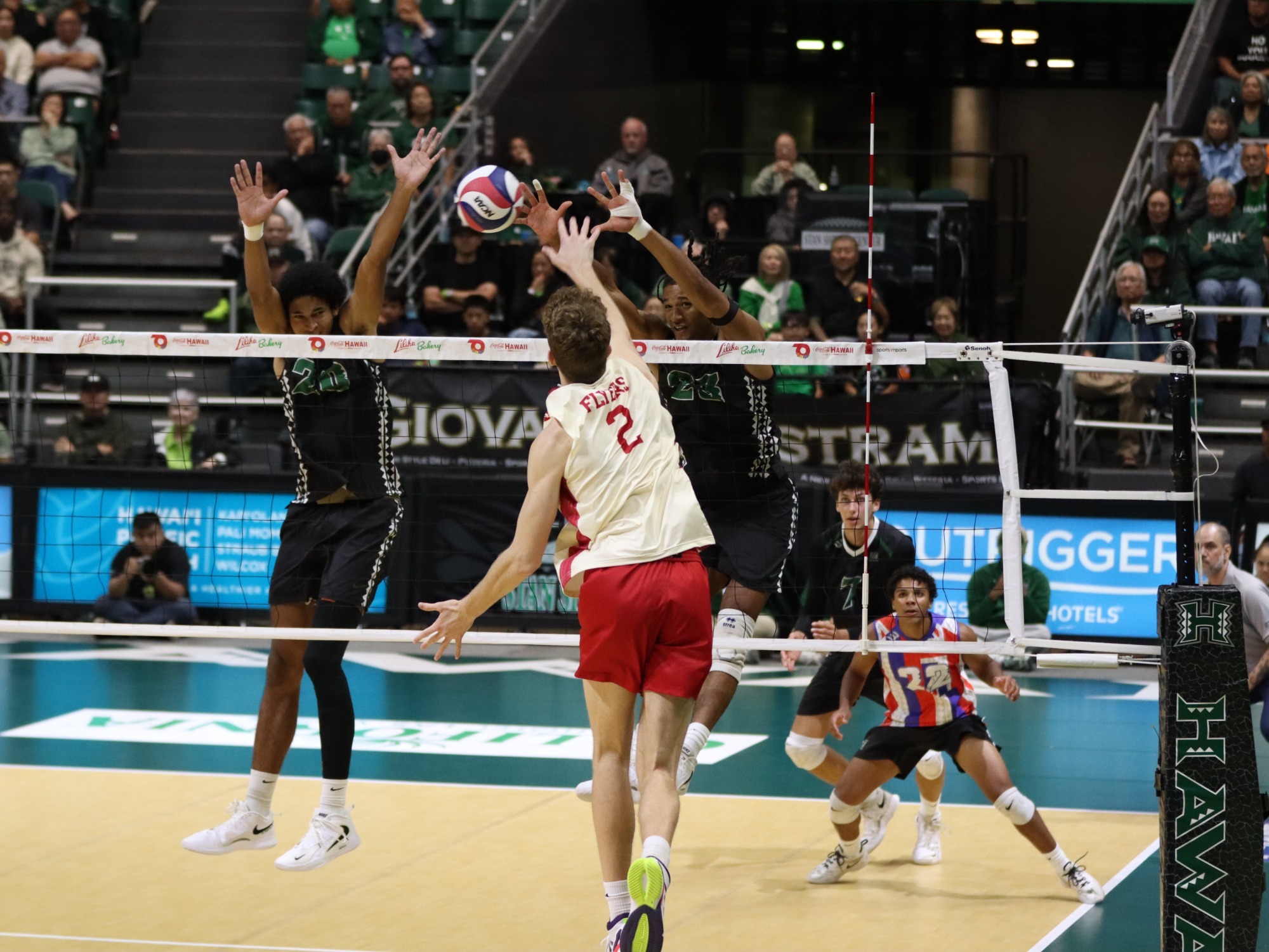 Cam Hoying kill against Hawai'i