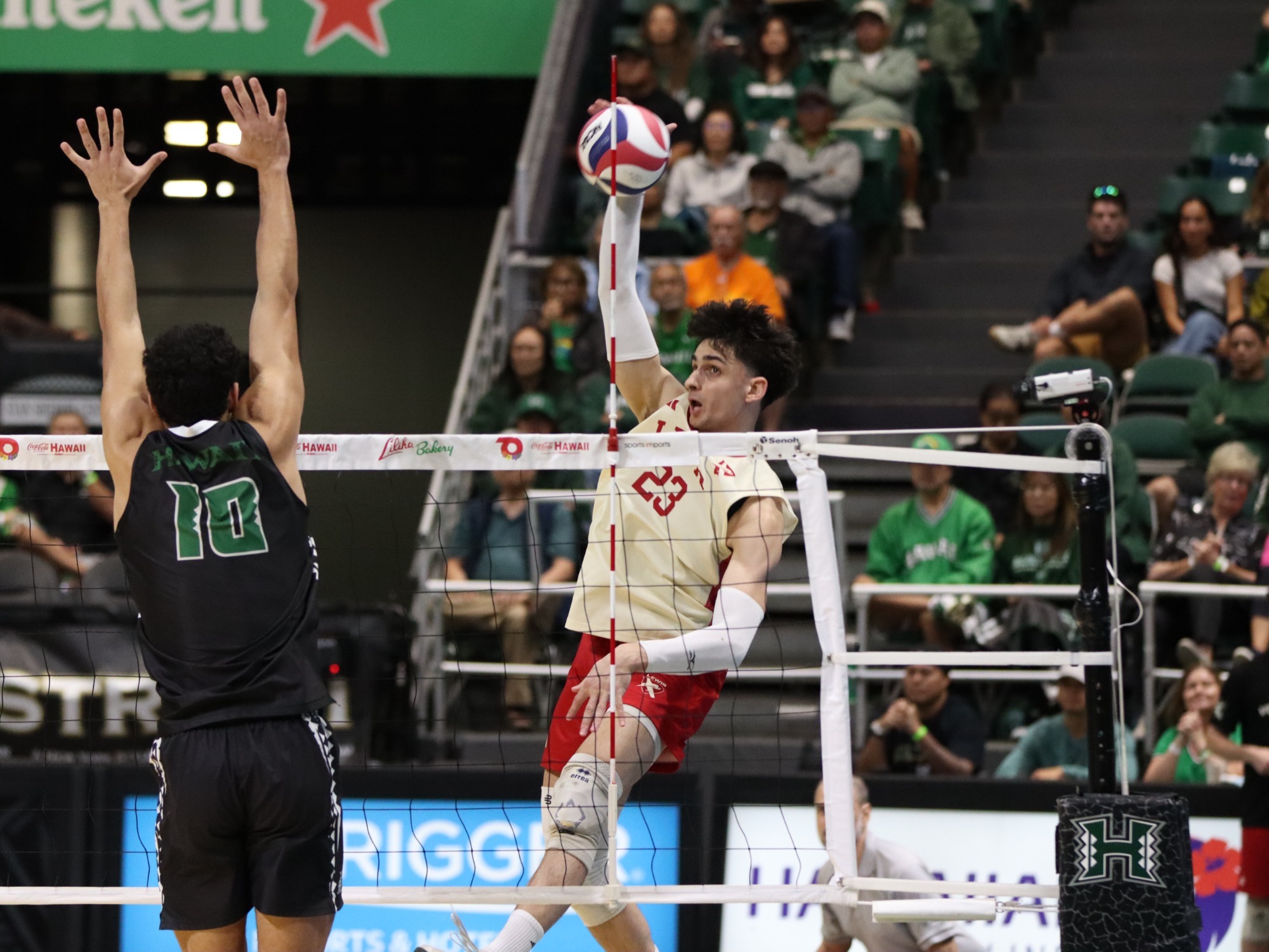 Deyan Todorov Kill against Hawaii