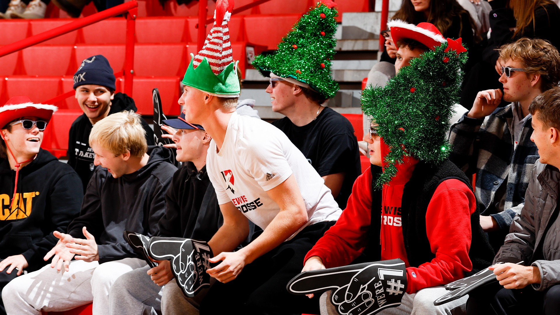 Fans at a sports event at lewis