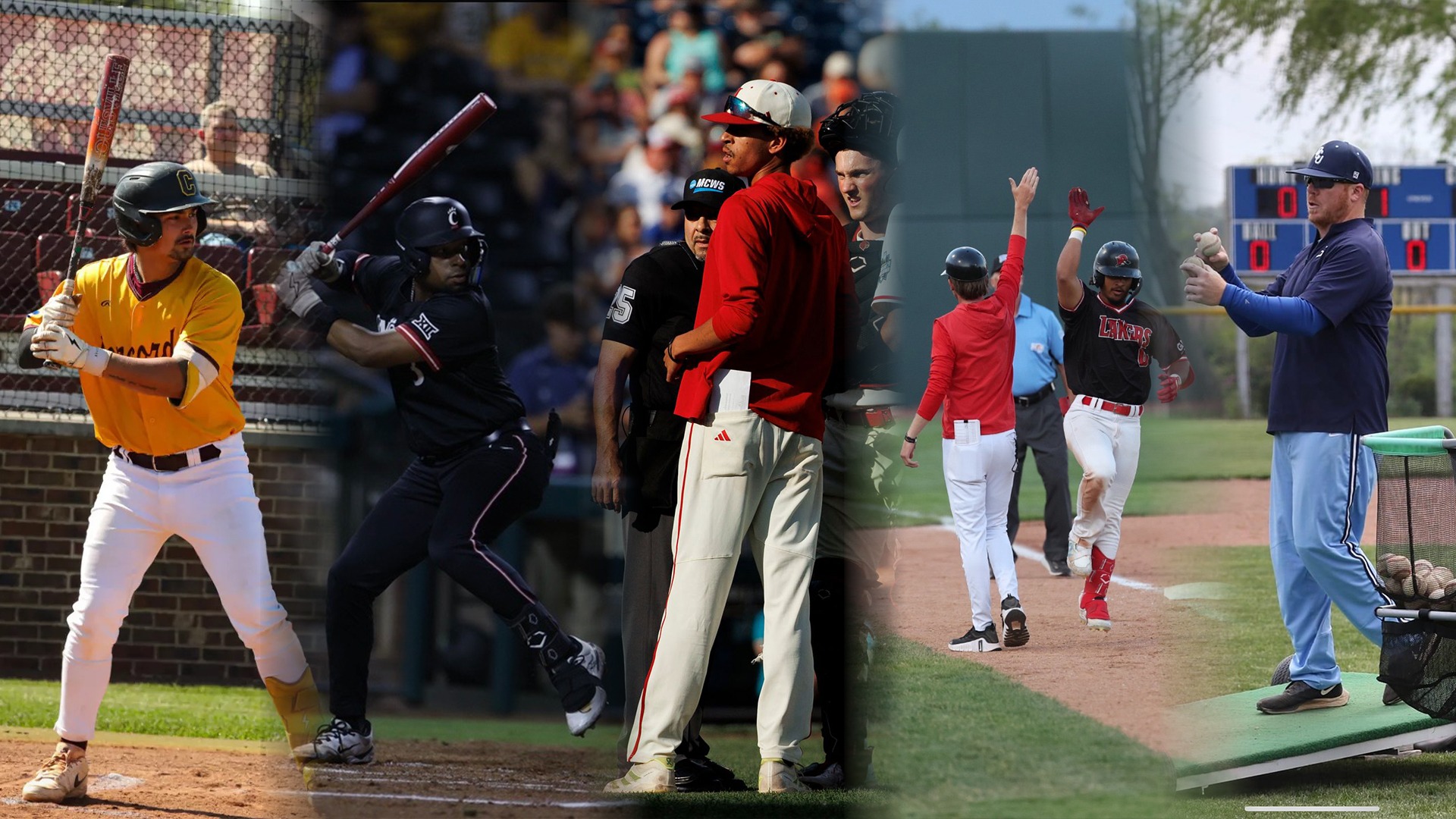 Baseball coach cover