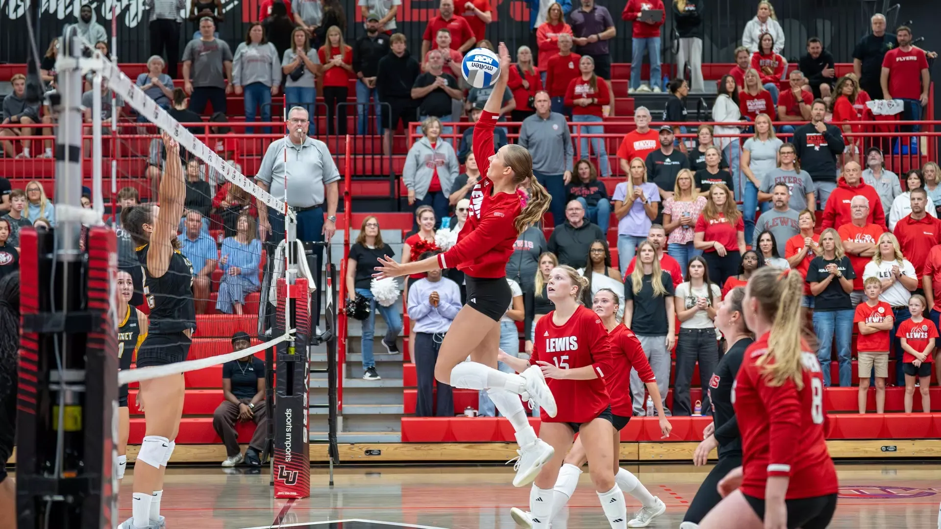 Sarah Newberry goes for a kill