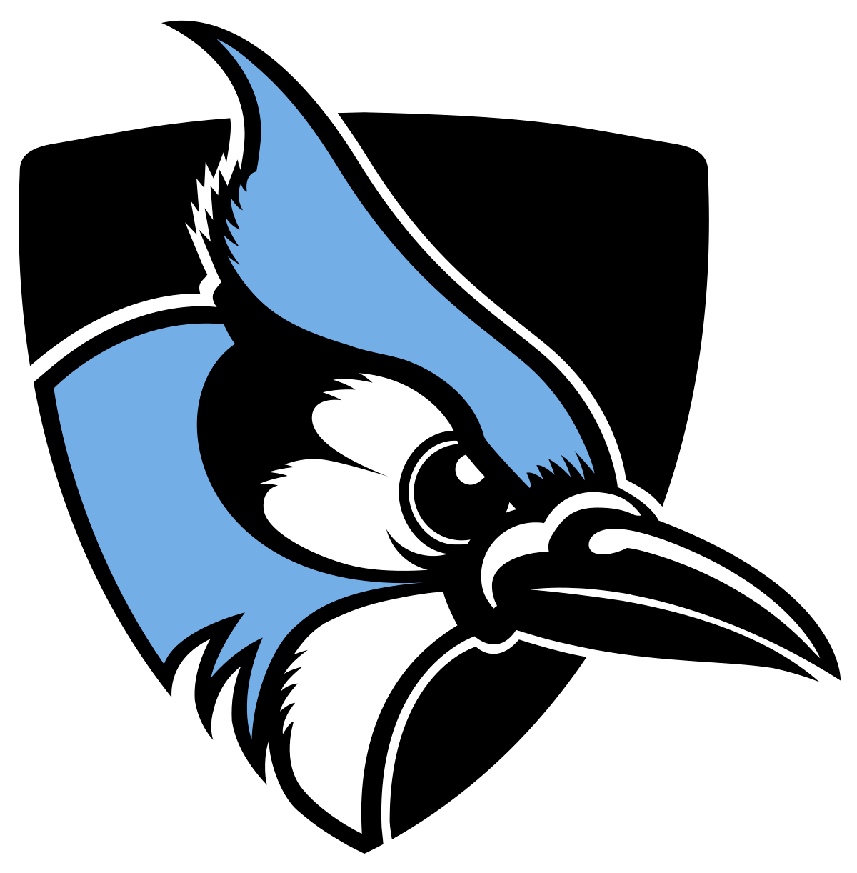 John's Hopkins
