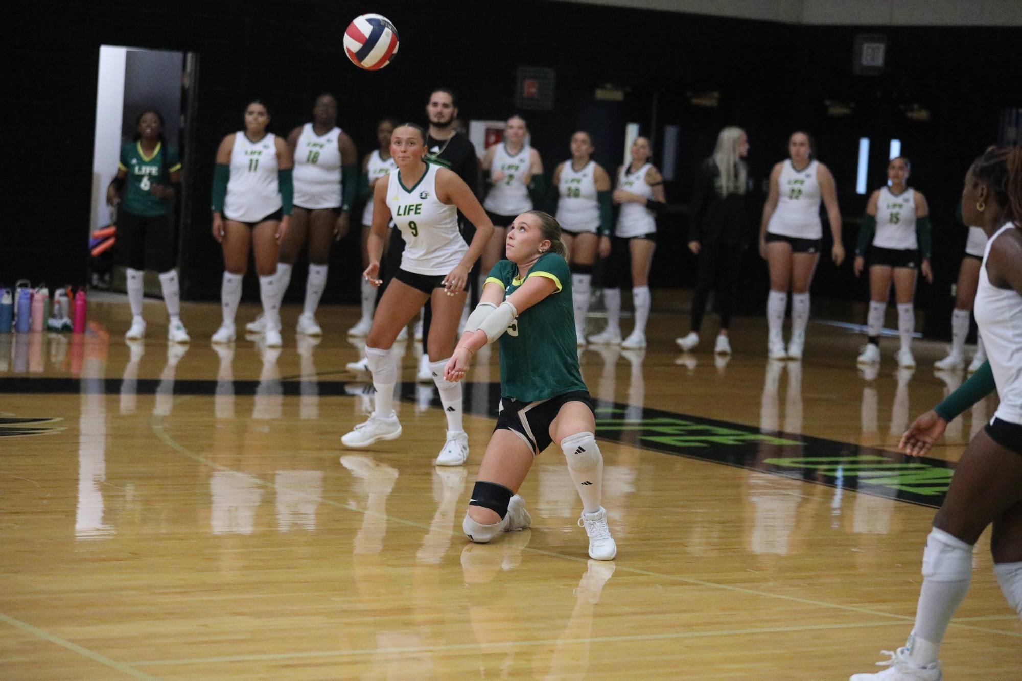 Riley Springer earns dig vs Faulkner
