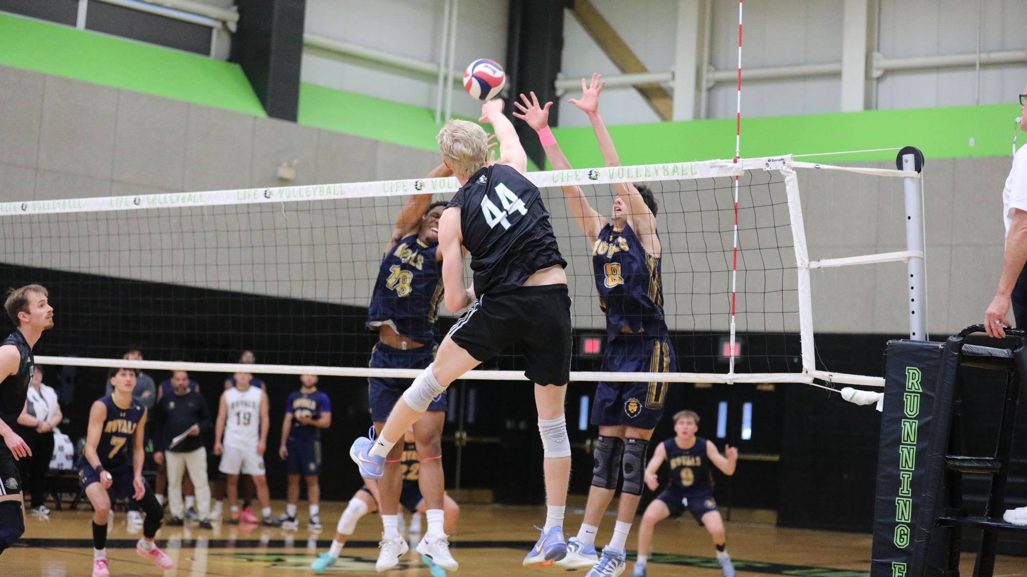 mvb.recap@newberry