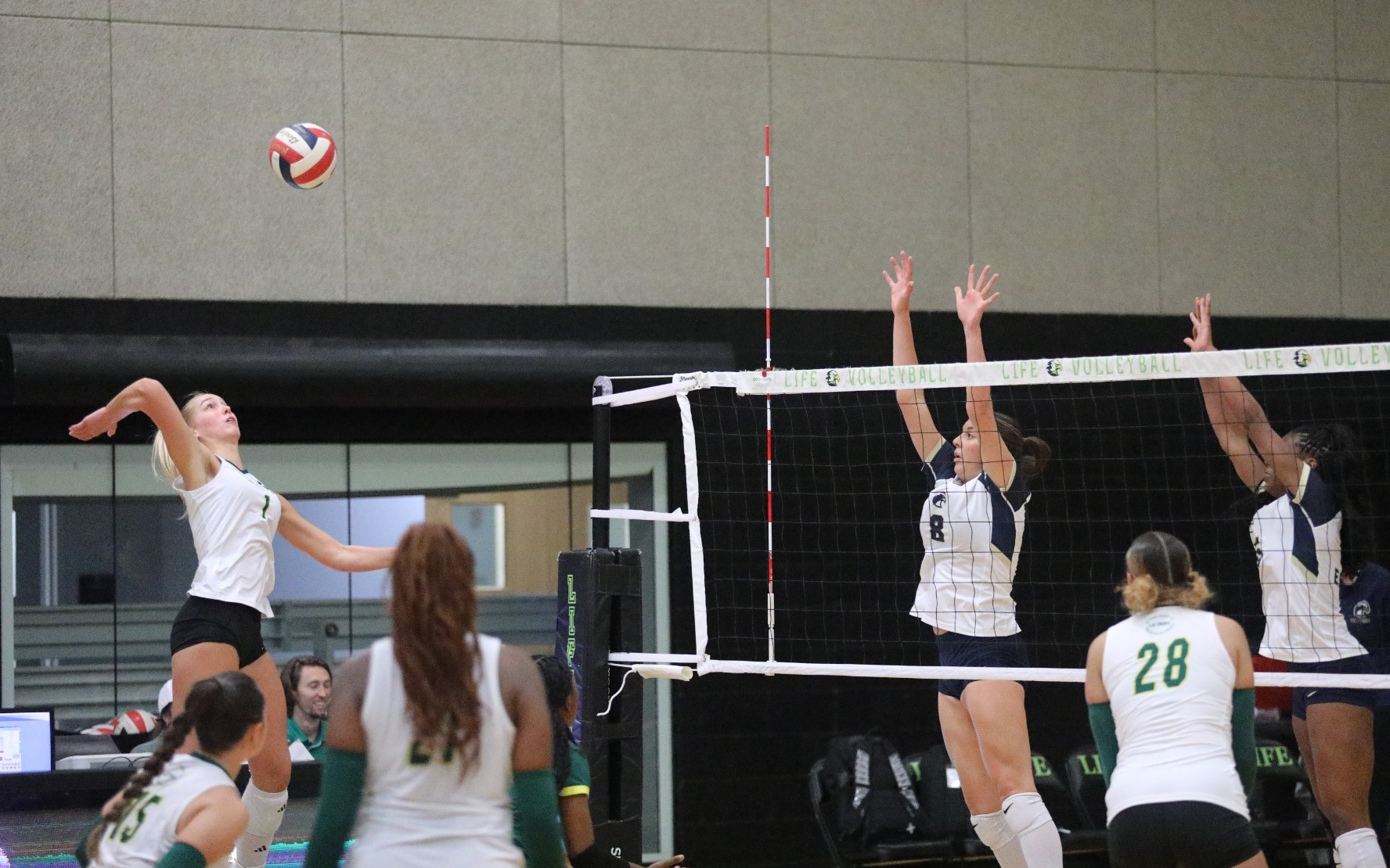 Jadyn Walters Attack vs. Baptist University of Florida
