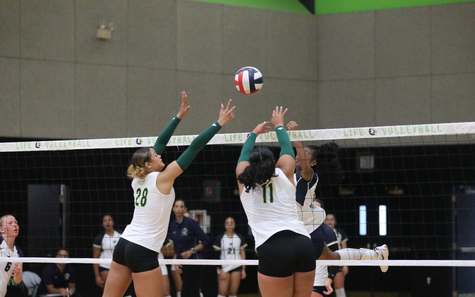 WVB @WCU