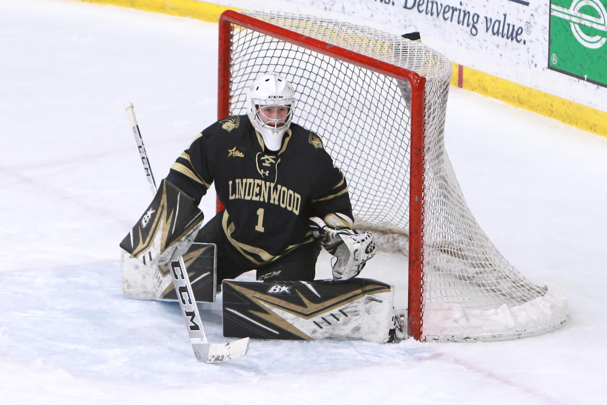 Annika Asplundh Women's Ice Hockey Lindenwood University Athletics