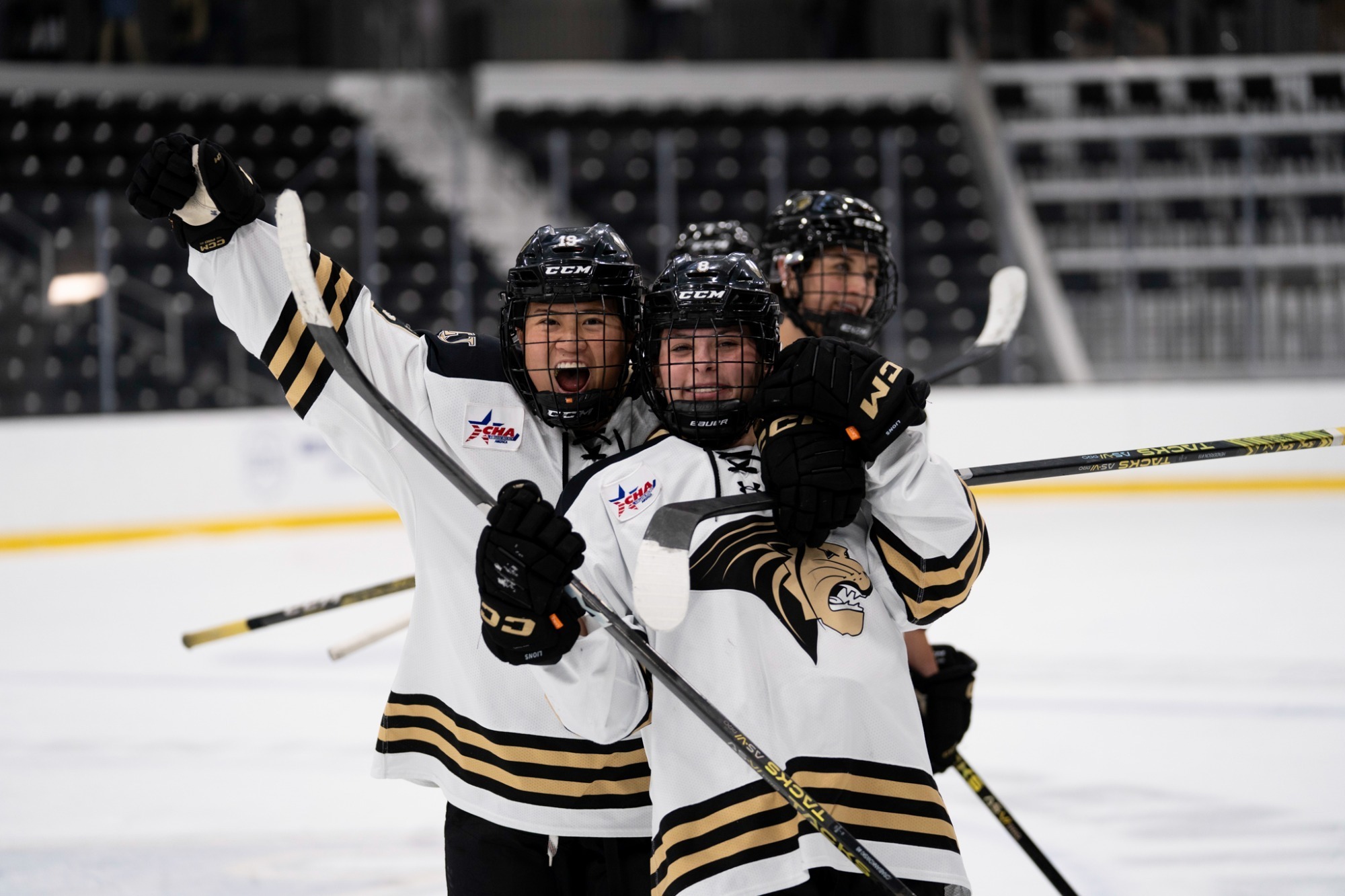Women’s Ice Hockey Wins 42 Over Stonehill Lindenwood University
