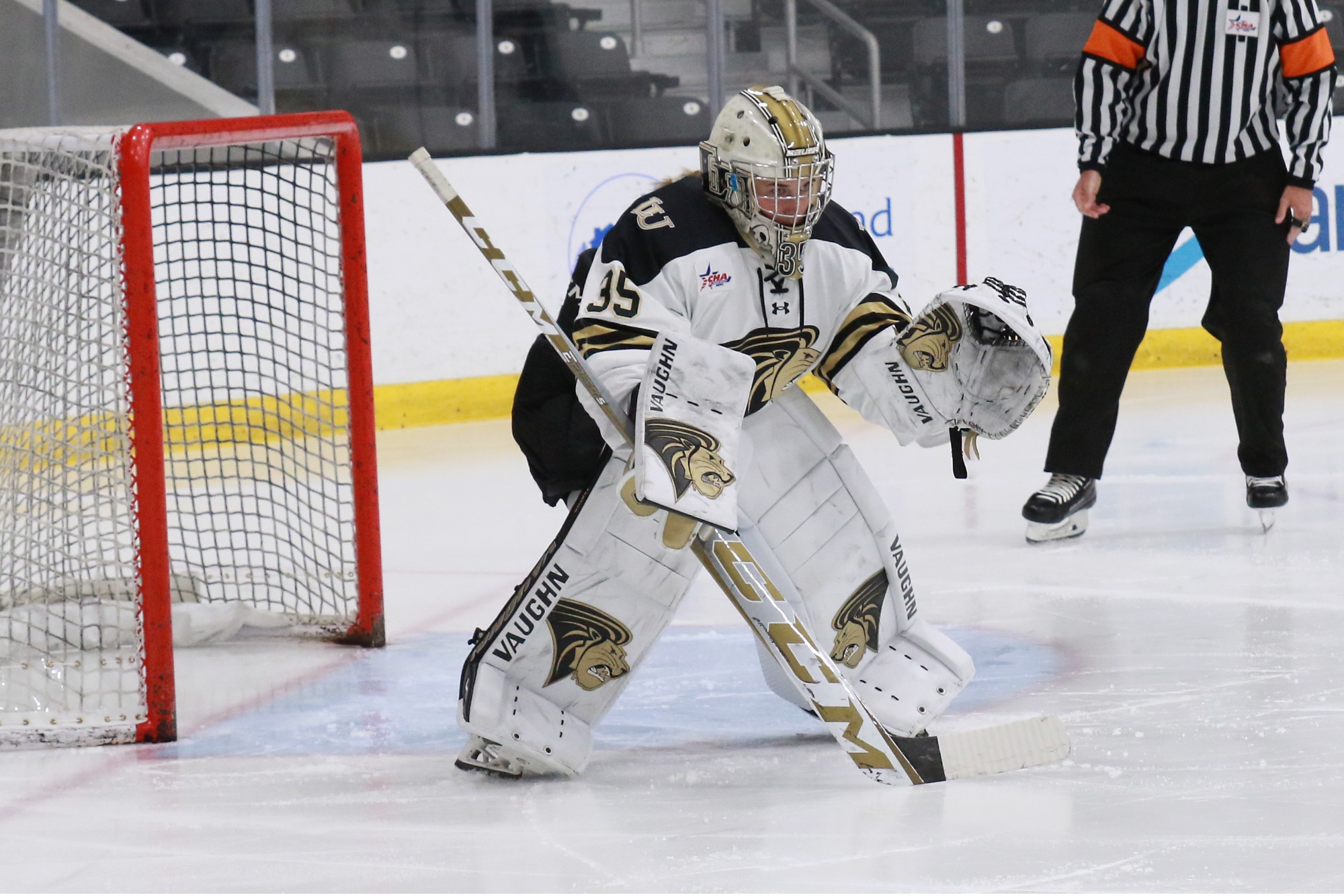 Women’s Ice Hockey Blanked by Mercyhurst Lindenwood University Athletics