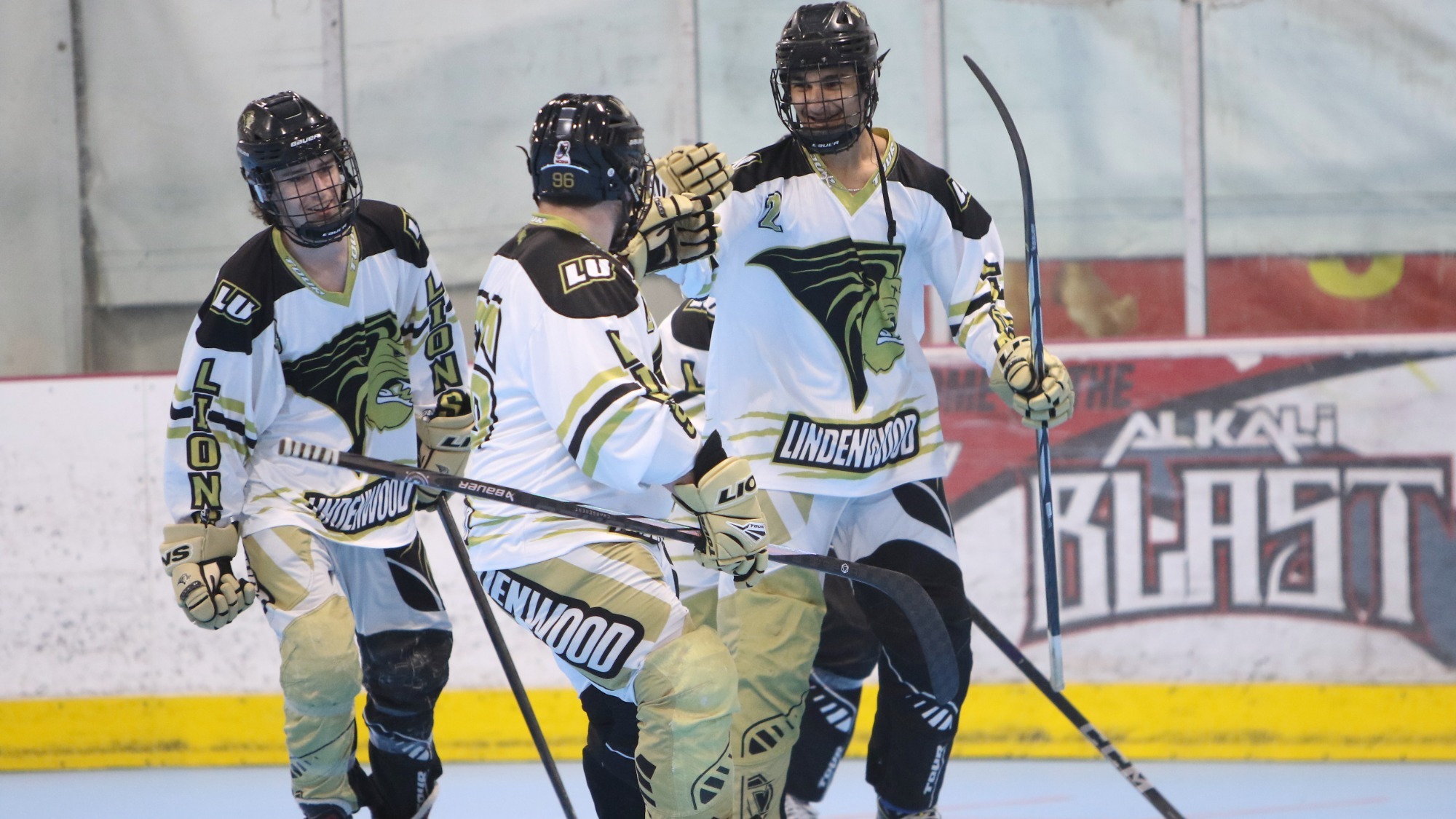 roller hockey gold.6878edit