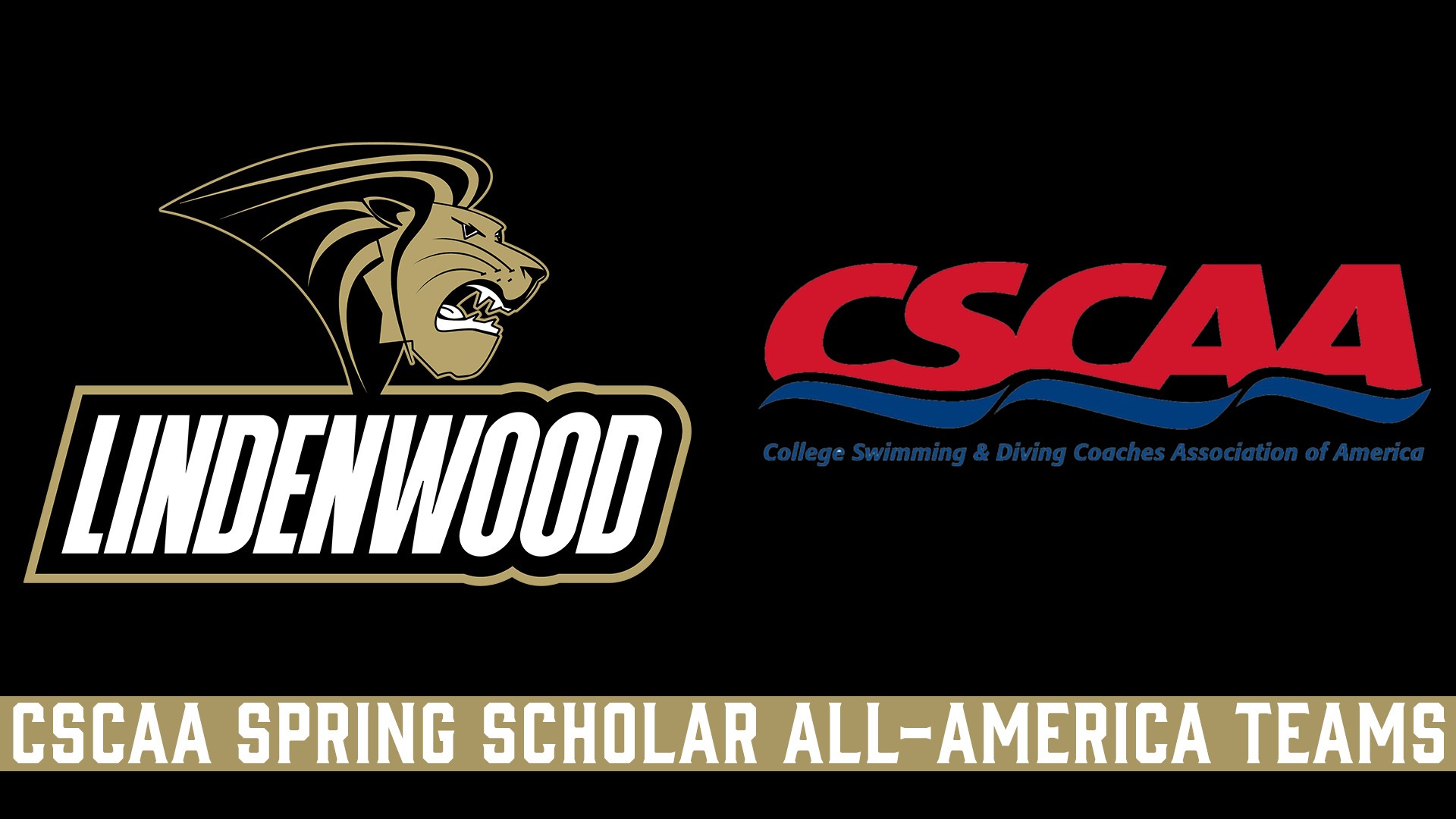 cscaa_scholar_awards_2024