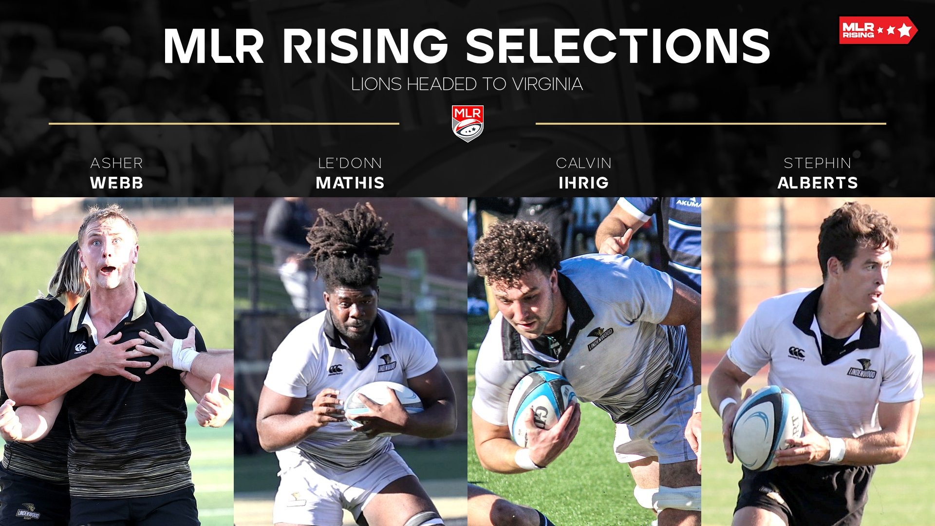 MLR Rising