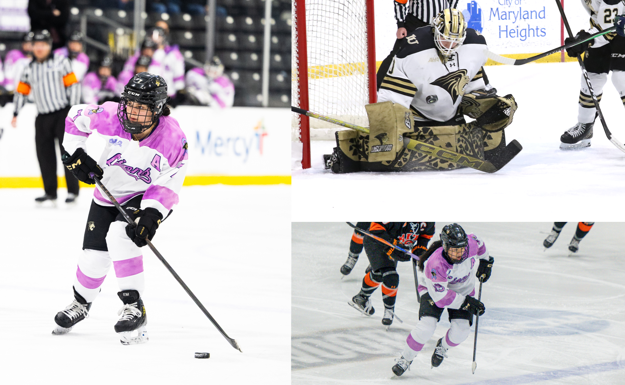 Secreto, Henderson, Muscedere