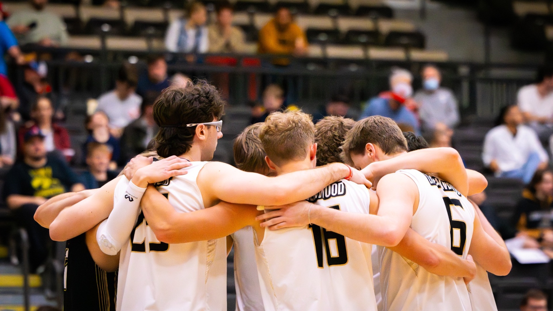 MVB Team