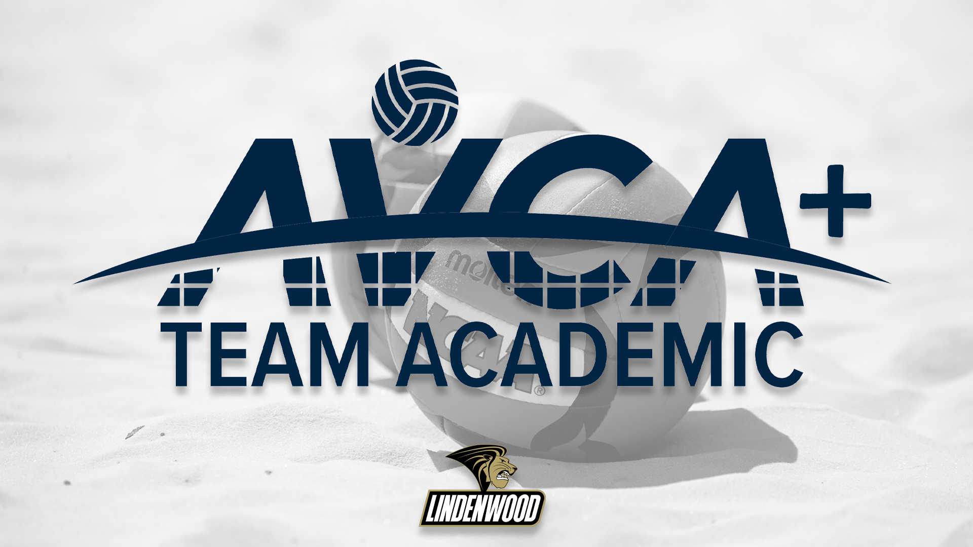 AVCA Team Academic Award BVB