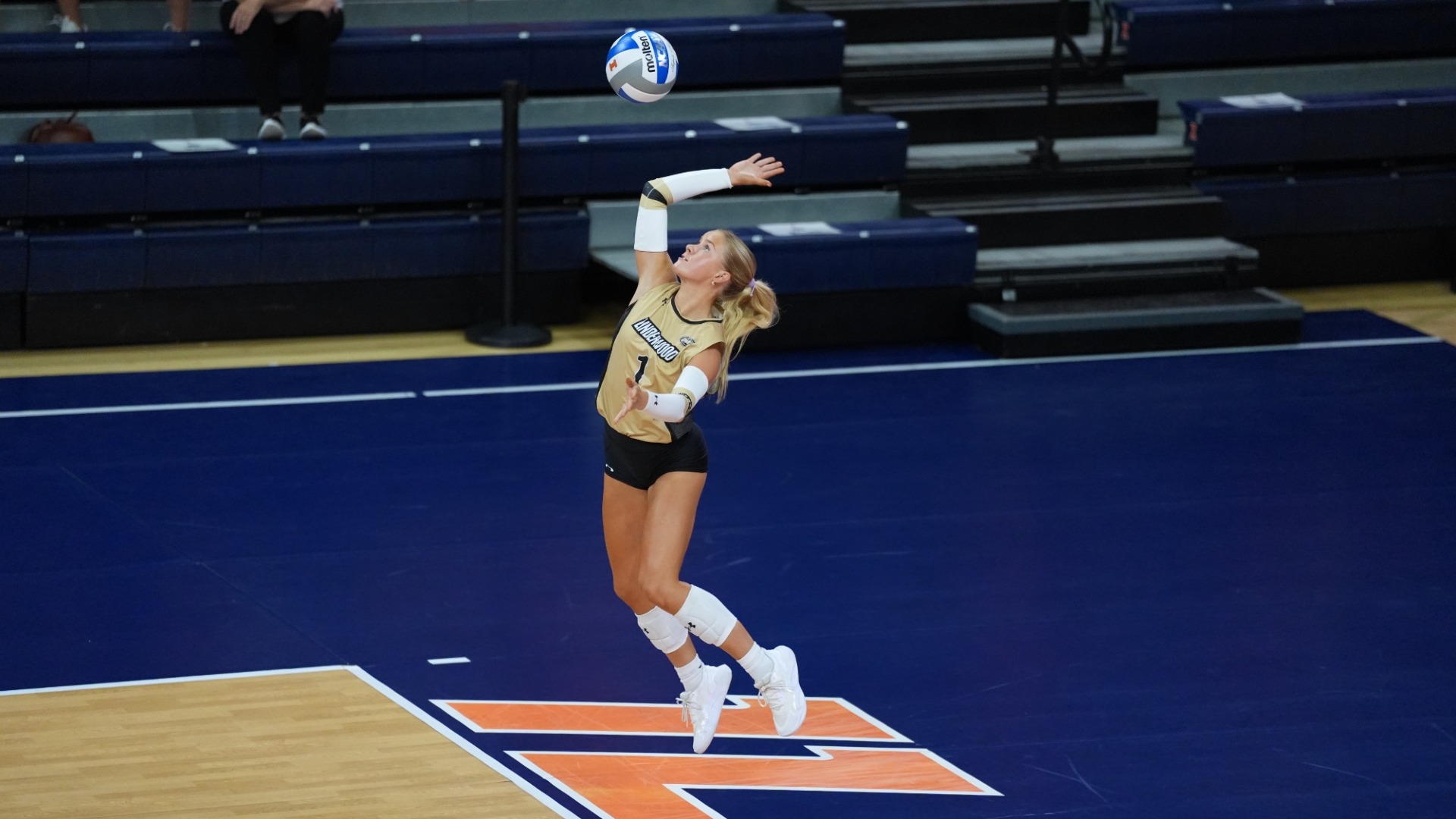 Alayna Rudebeck
