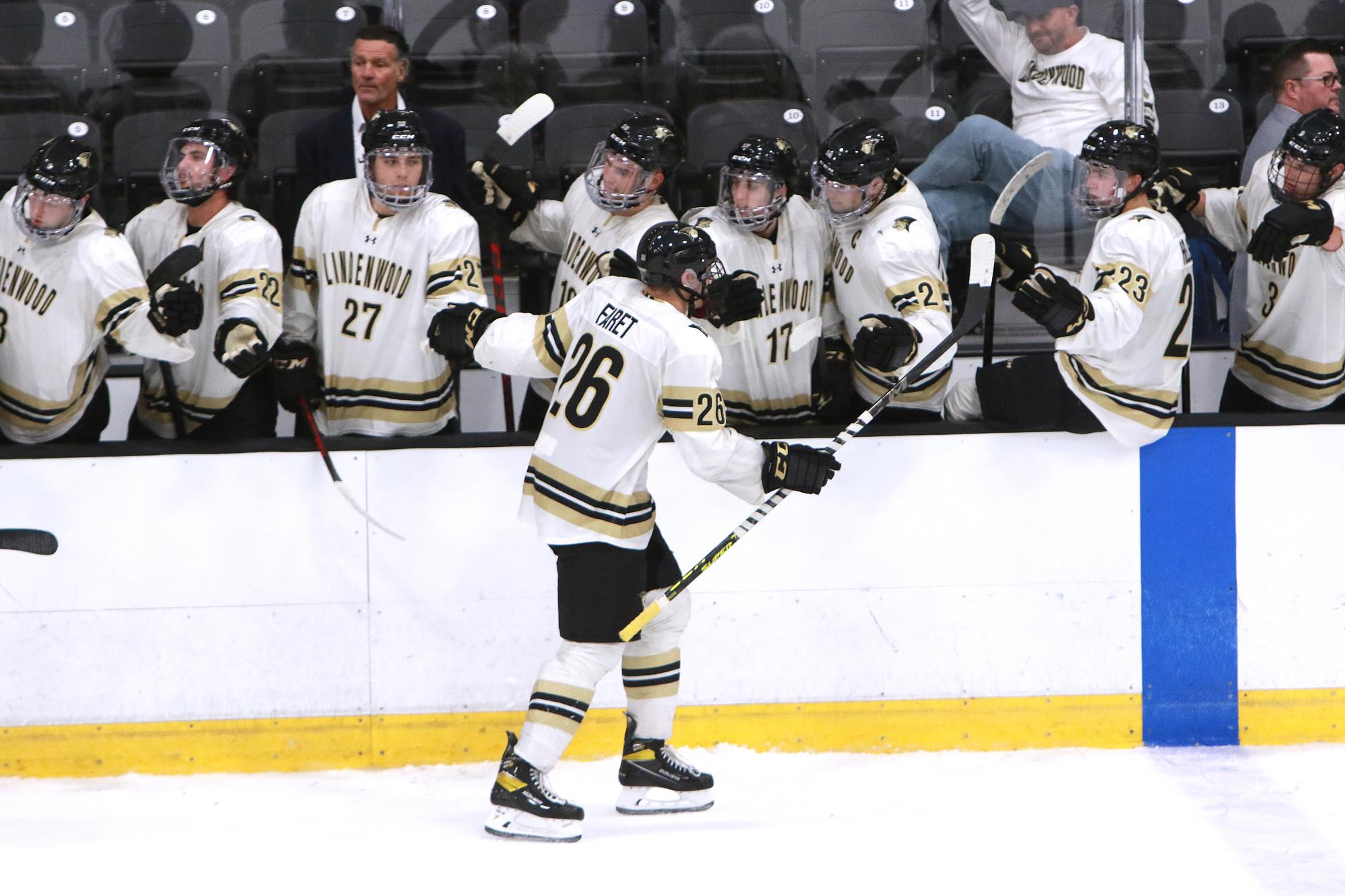 men's ice hockey.2868