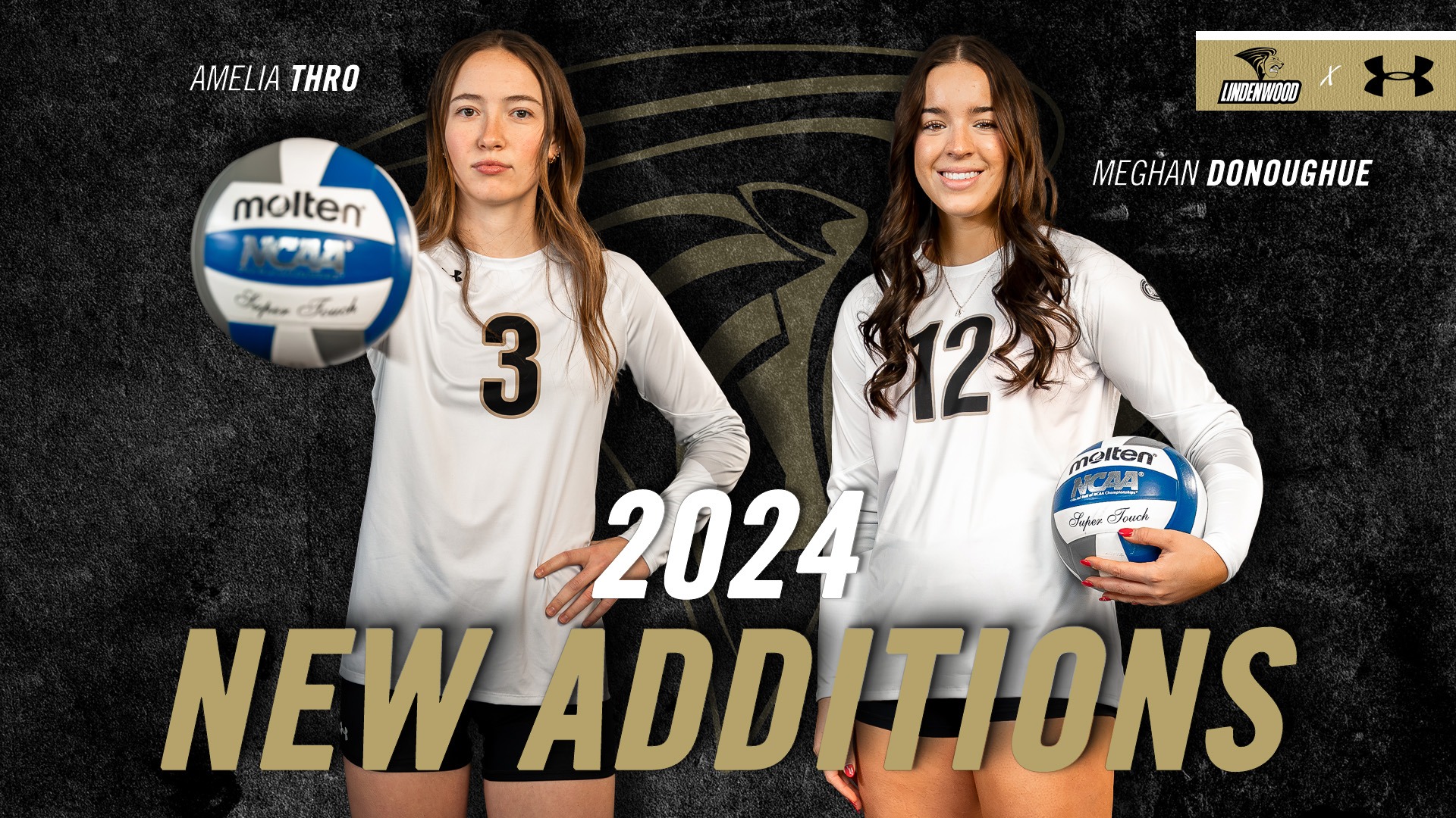 2024_New_Additions_WVB