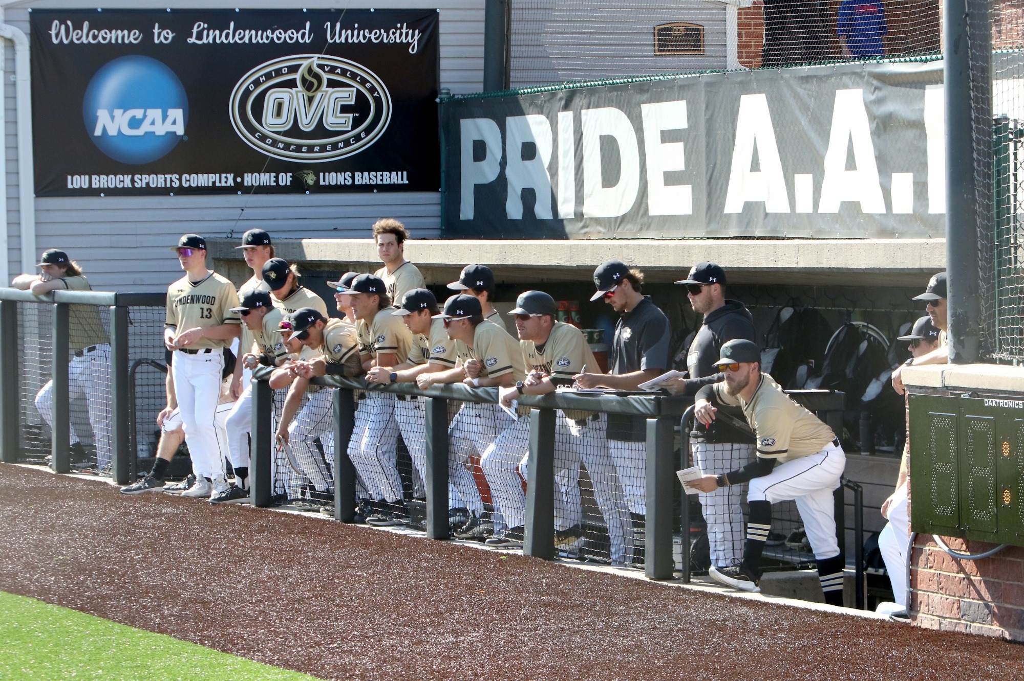 Baseball Team in Dugout