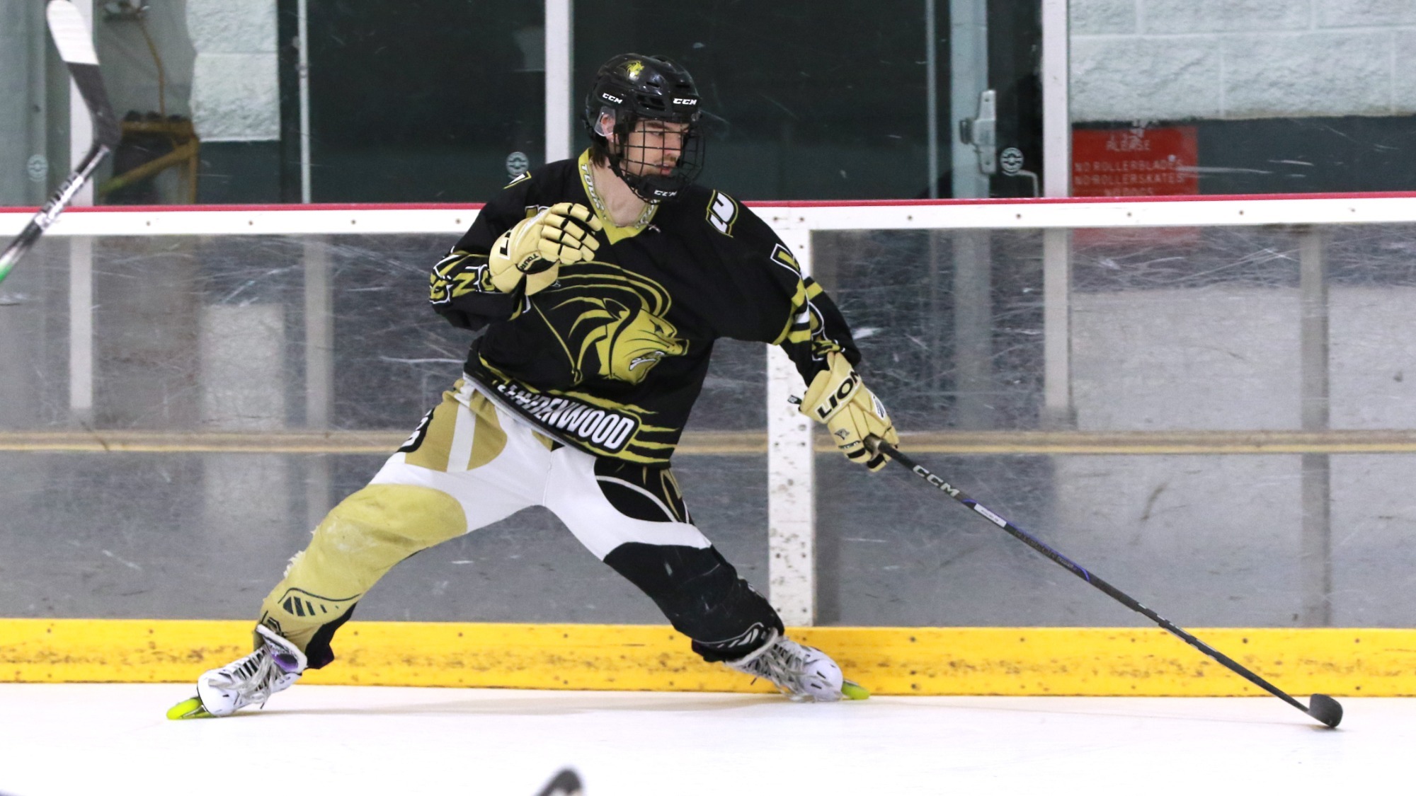 roller hockey gold vs Michigan St.9552edit