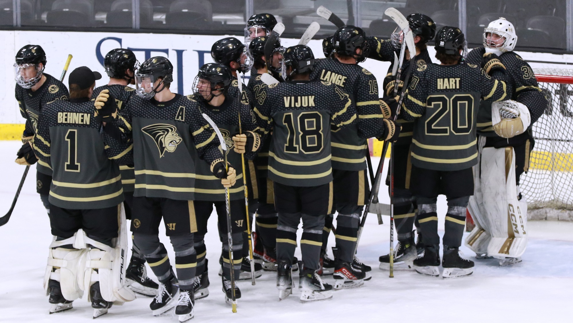 men's acha hockey vs Maryville.2516edit