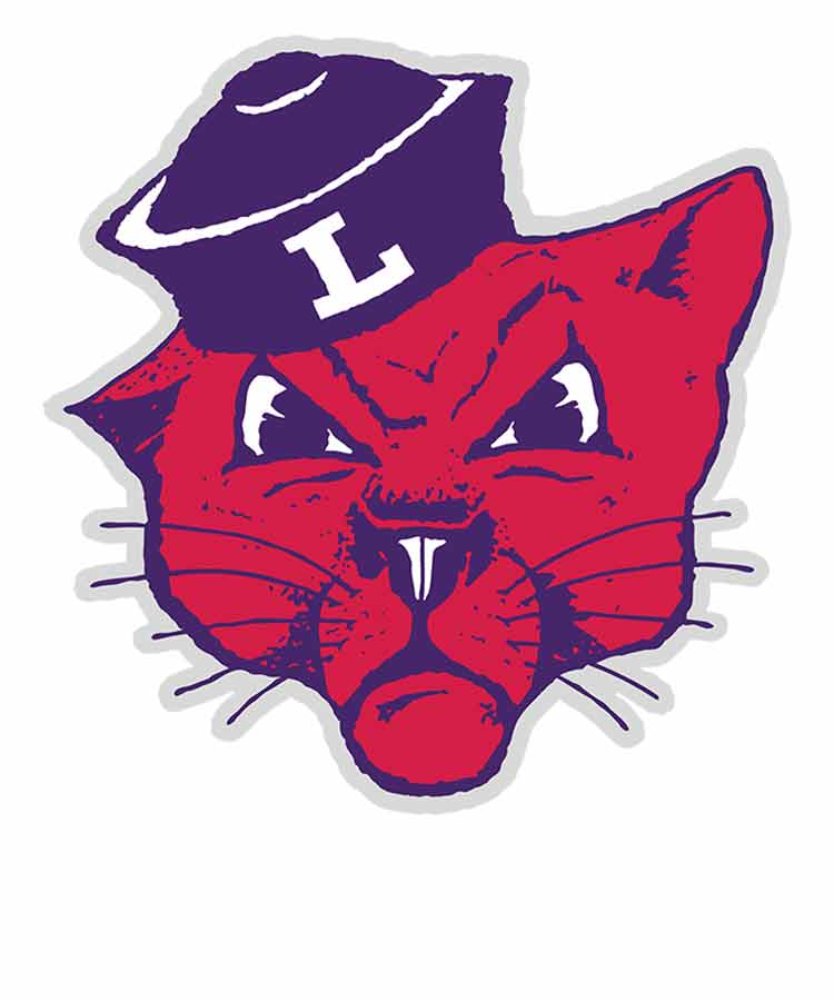Wildcat Mug