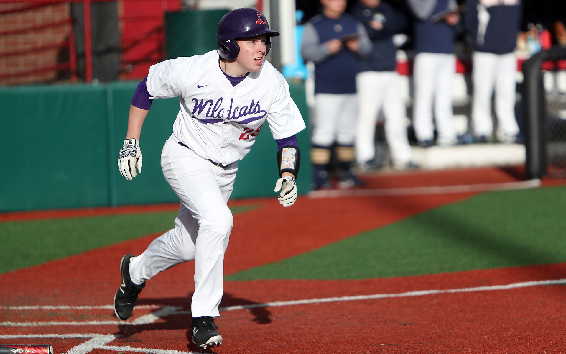 Kurt Potter Baseball Linfield University Athletics
