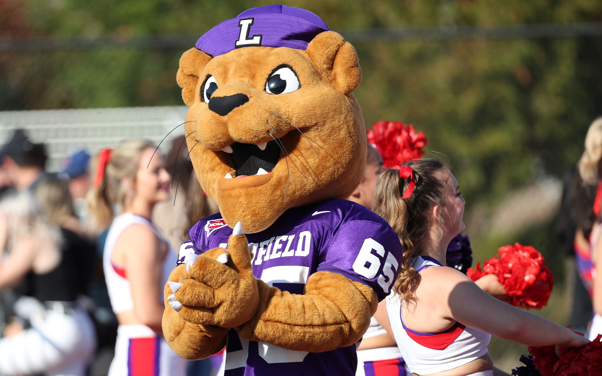 Mack the Wildcat