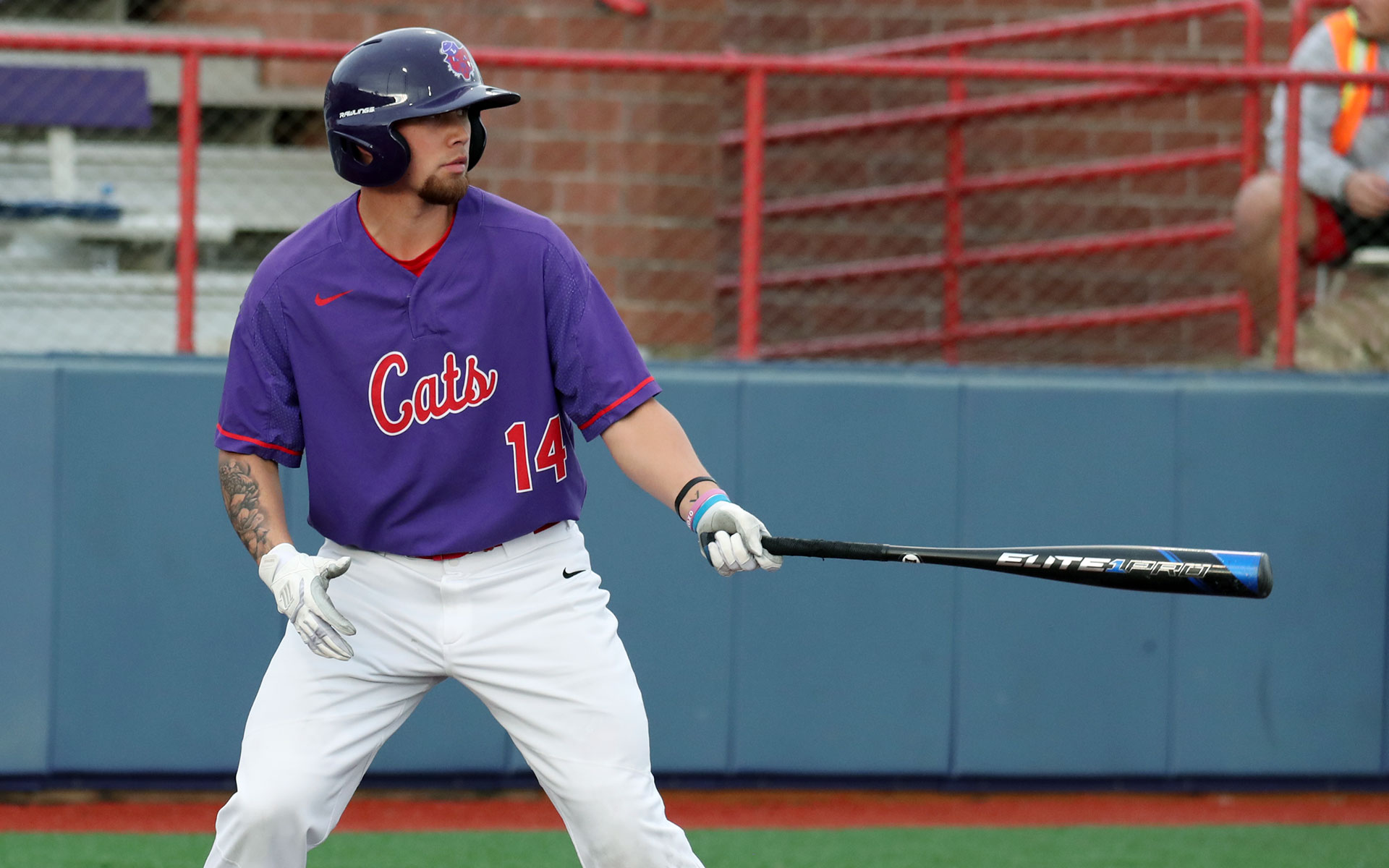 'Cats clinch tourney berth, share title with Boxers Linfield