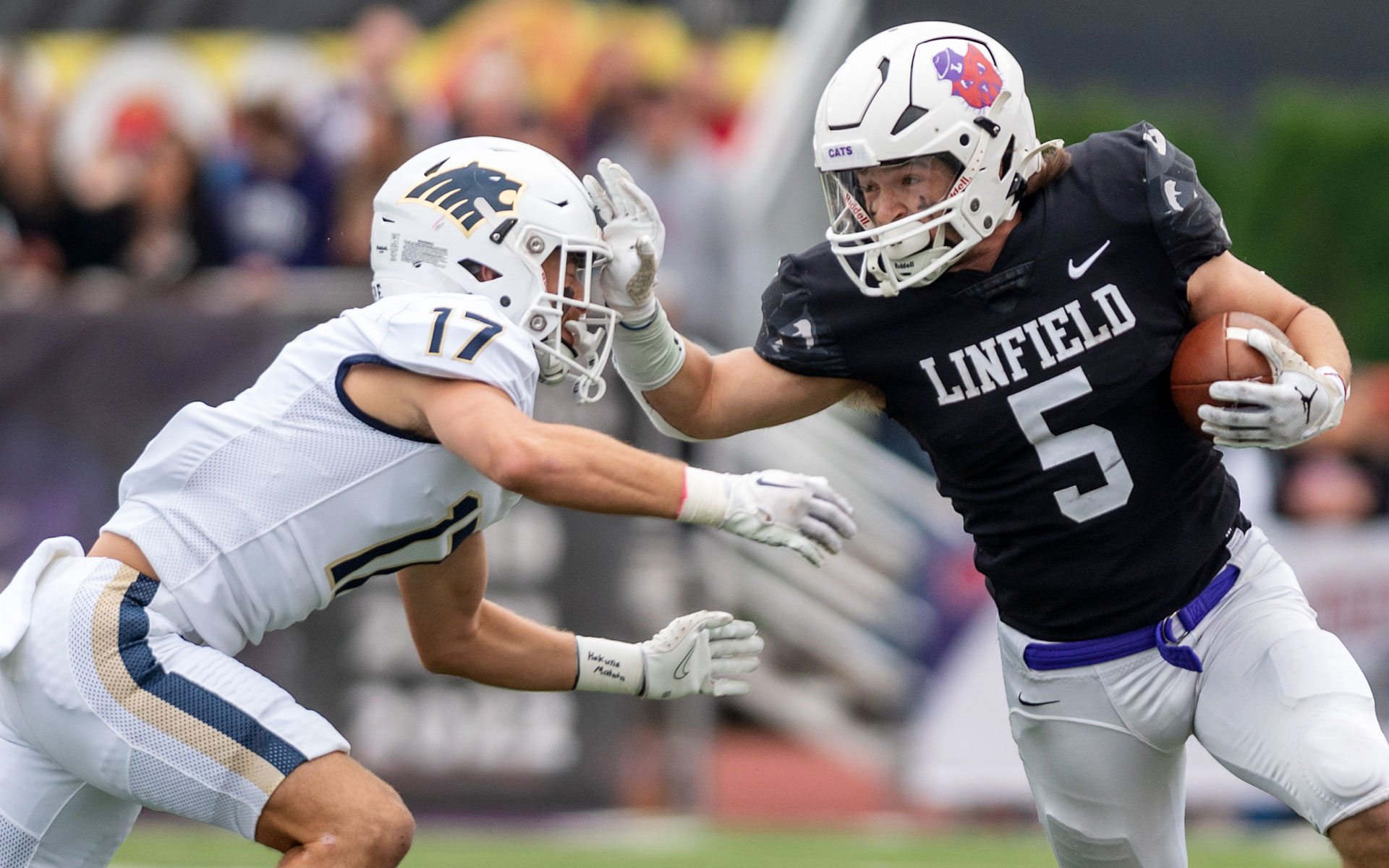 Cats roll Bruins 41-13, clinch 67th straight winning season - Linfield  University Athletics