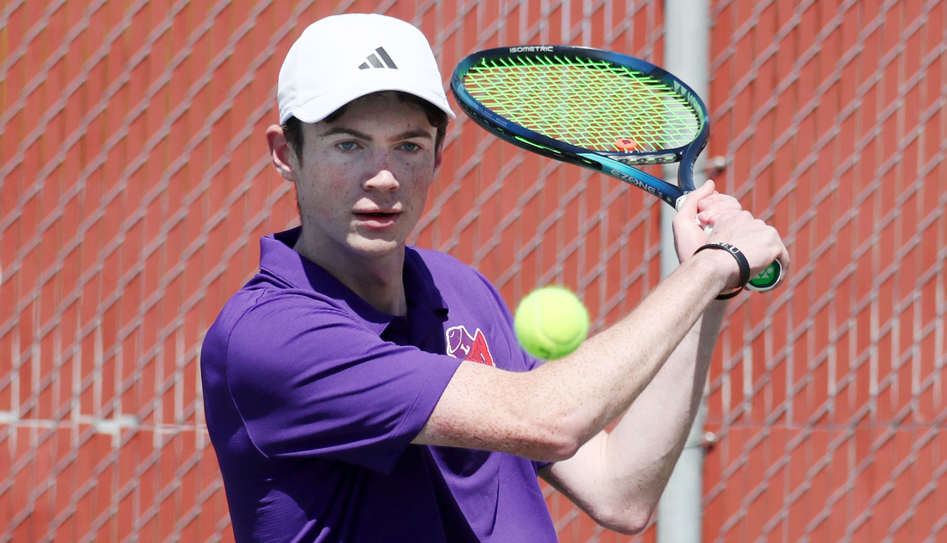 Alexander Rosenquist