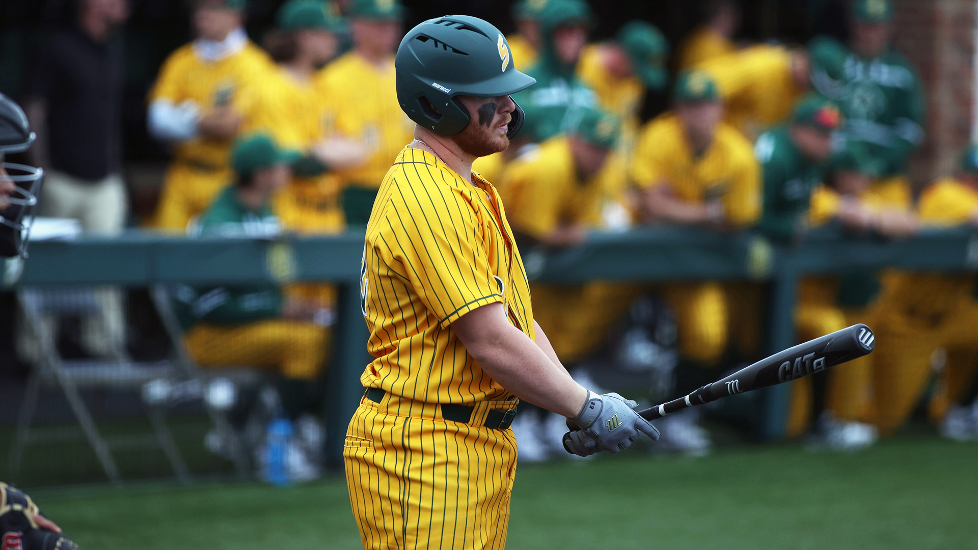 Lions Power Past HBU in RegularSeason Finale Southeastern Louisiana