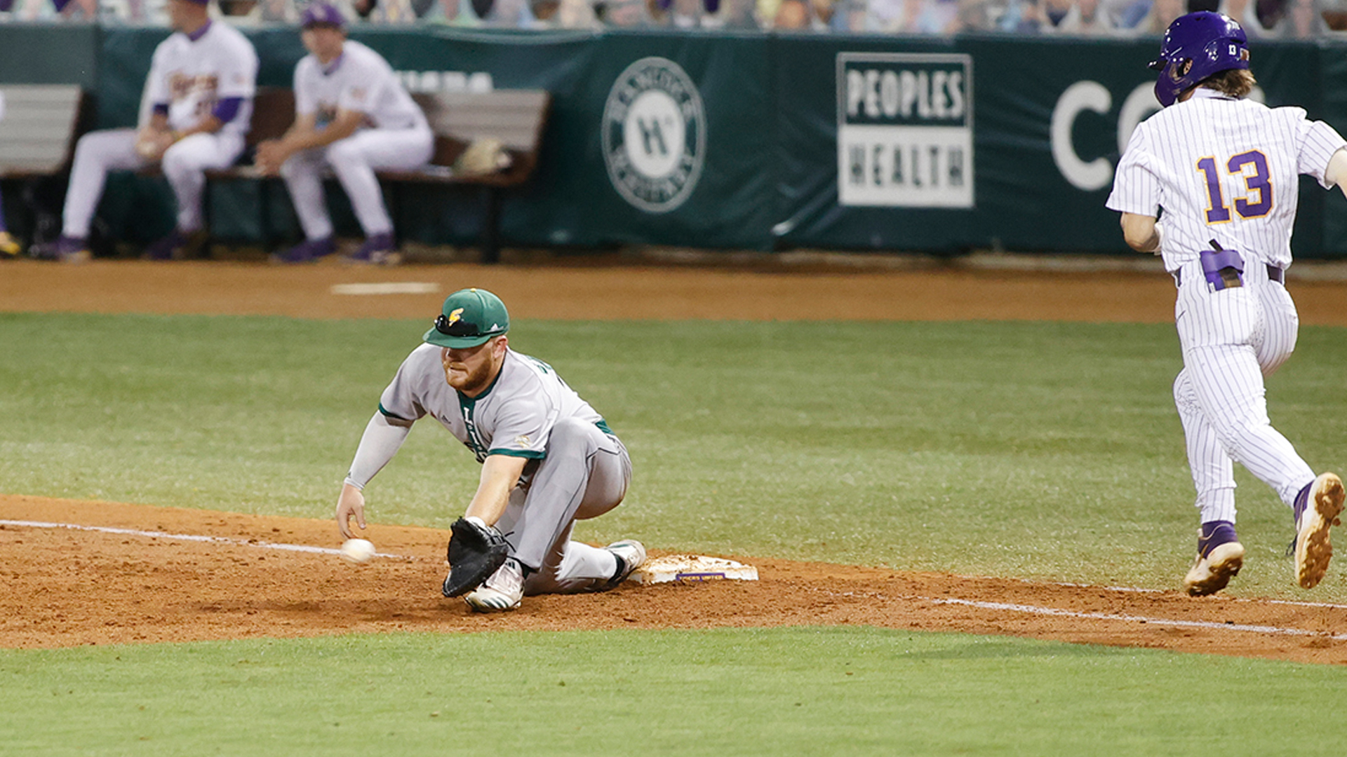 Lions Drop Pair at Texas A&MCorpus Christi Southeastern Louisiana