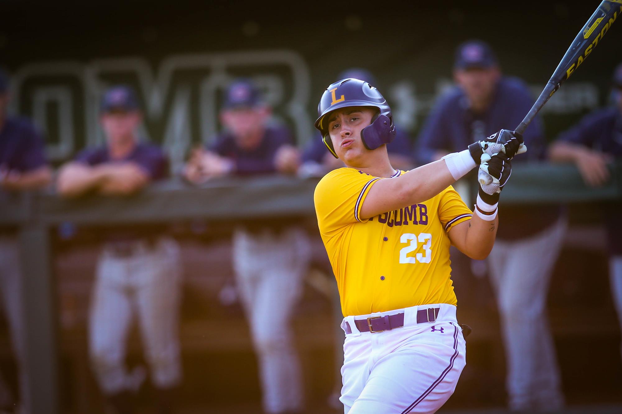 Baseball Drop a Pair at No. 18 University