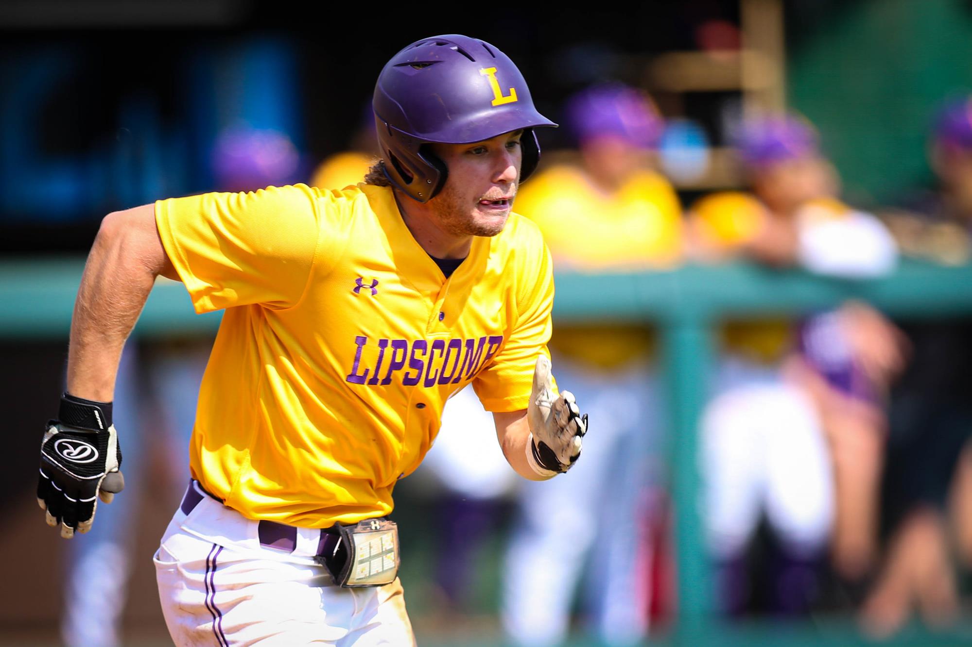 David Coppedge 2024 Baseball University