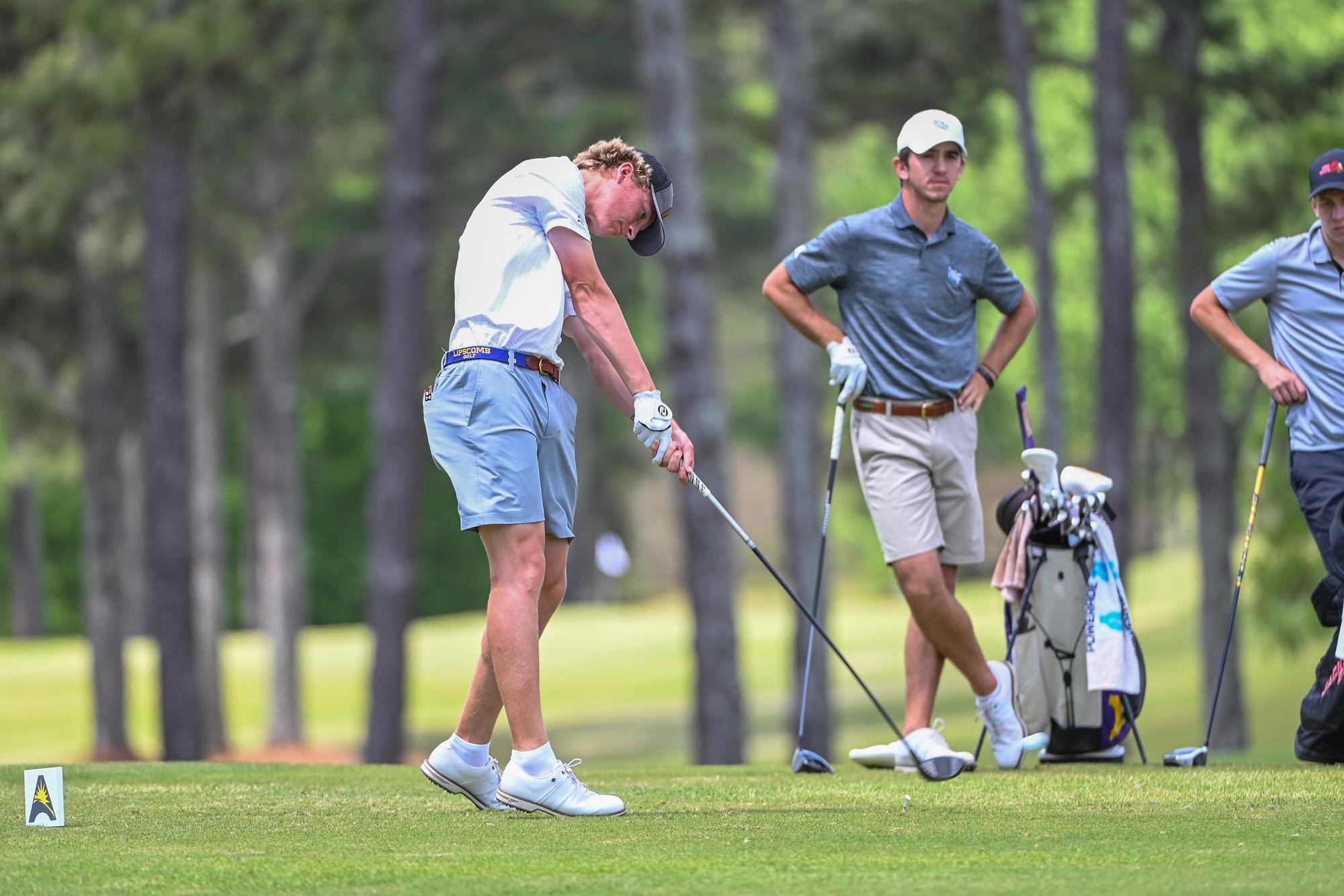 Will Holan 202324 Men's Golf University