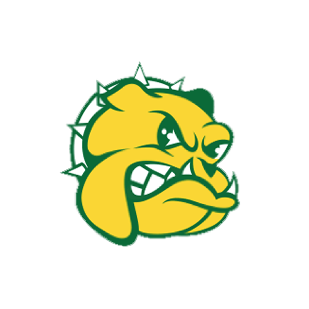 Opponent Logo