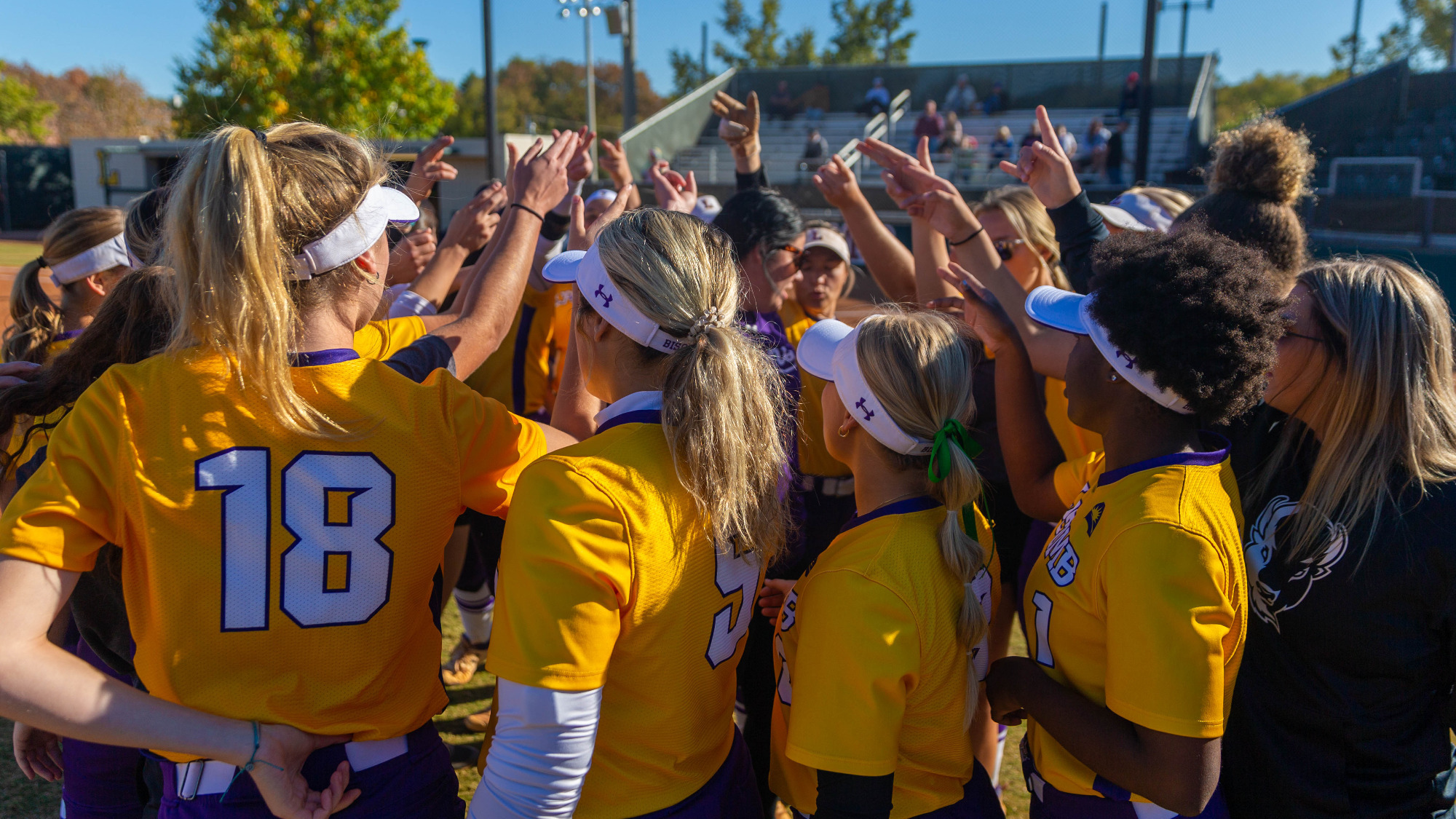 Softball Announces Addition of Three to Roster University