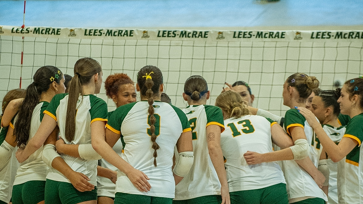 WVB_Team