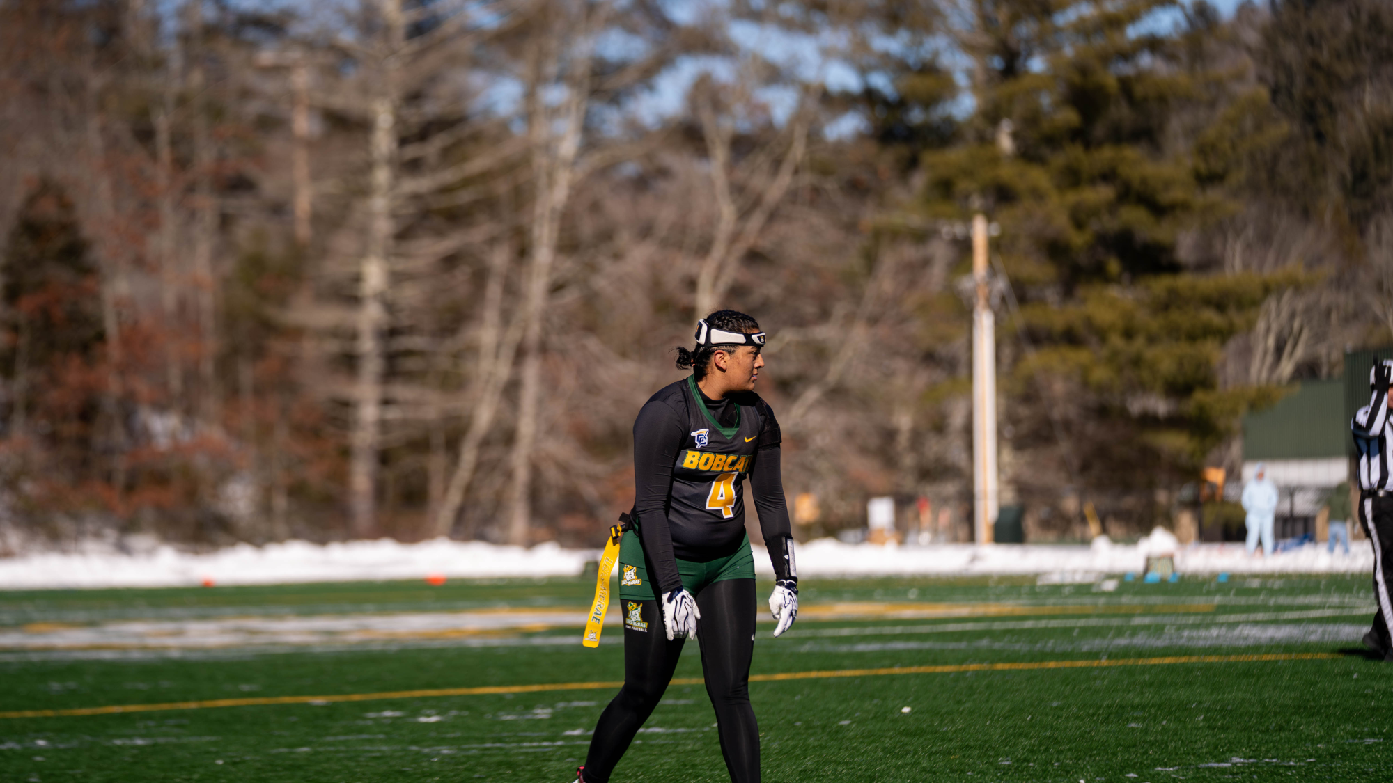 AshleyAlvarado_FlagFB