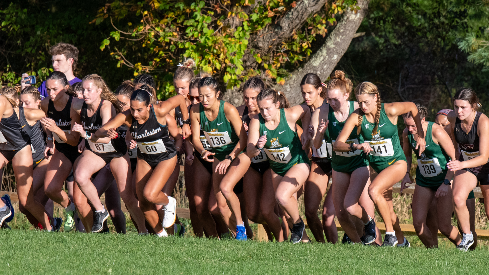 WXC_Team