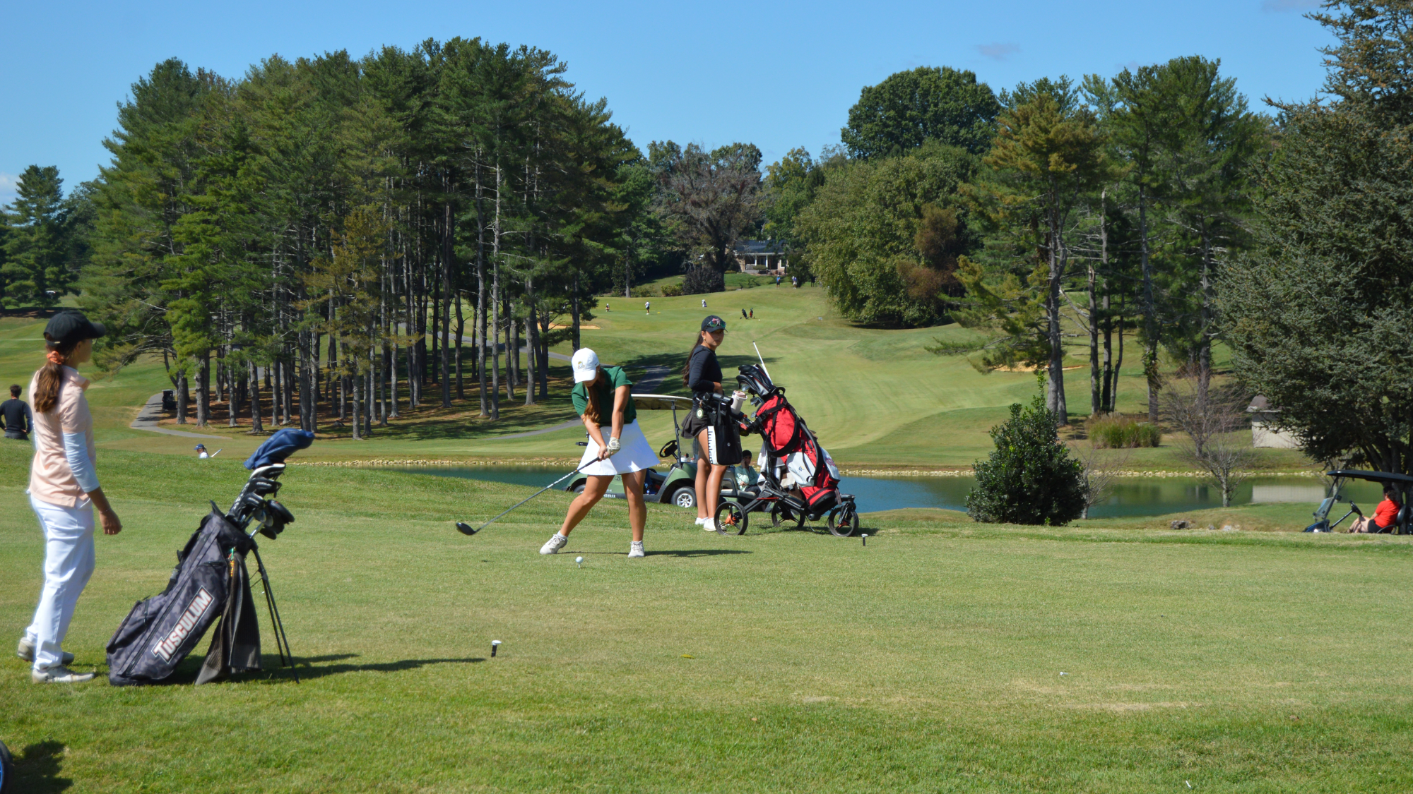 WGOLF1