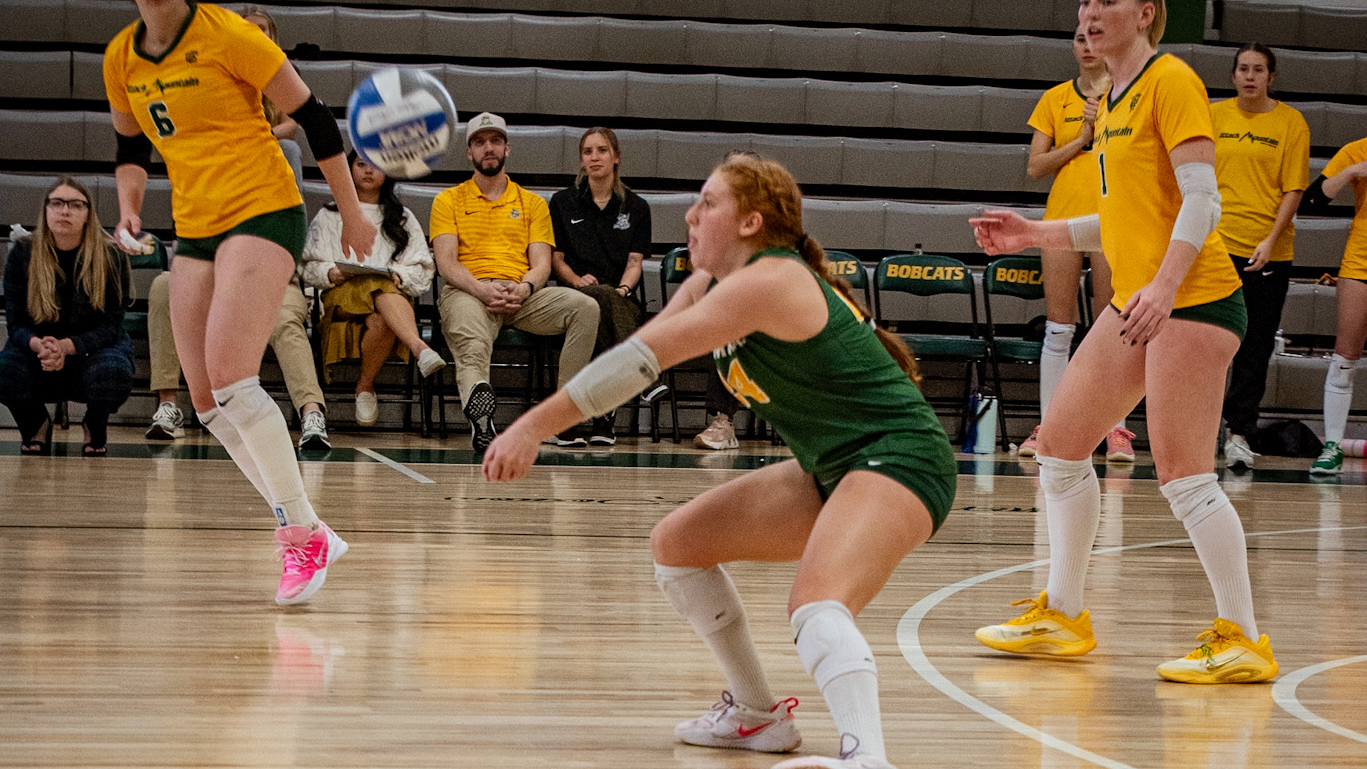 BrookeAshkenase_WVB