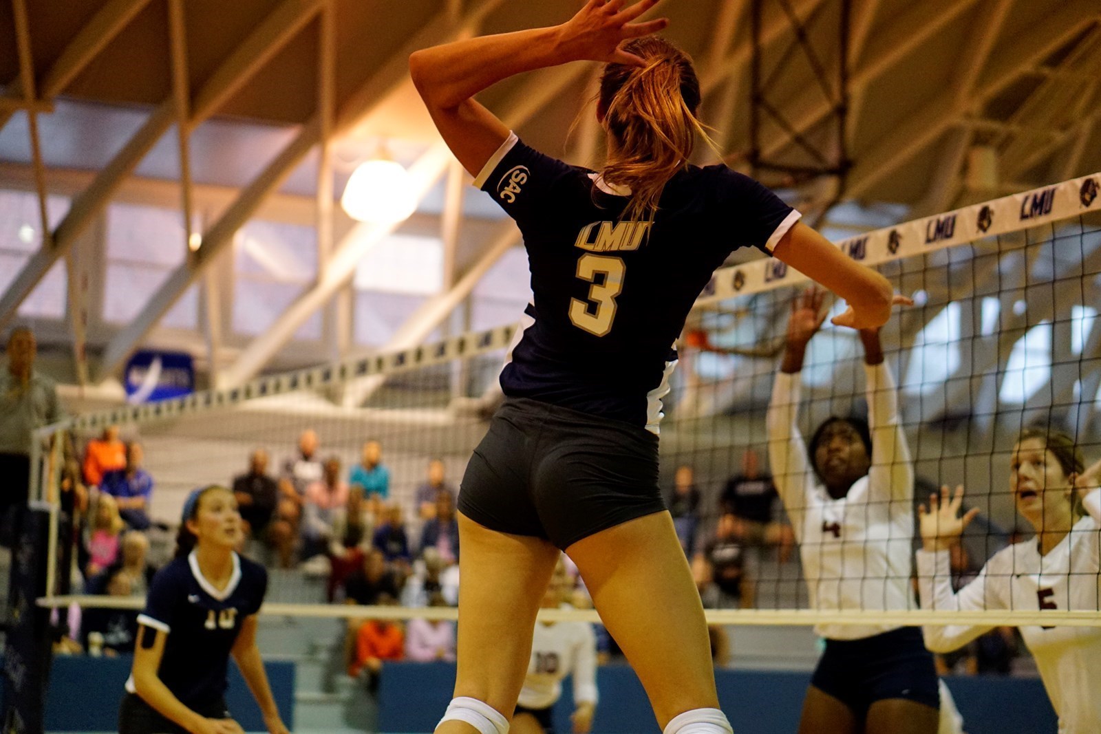 Rylee Storms - Women's Volleyball - Lincoln Memorial University Athletics