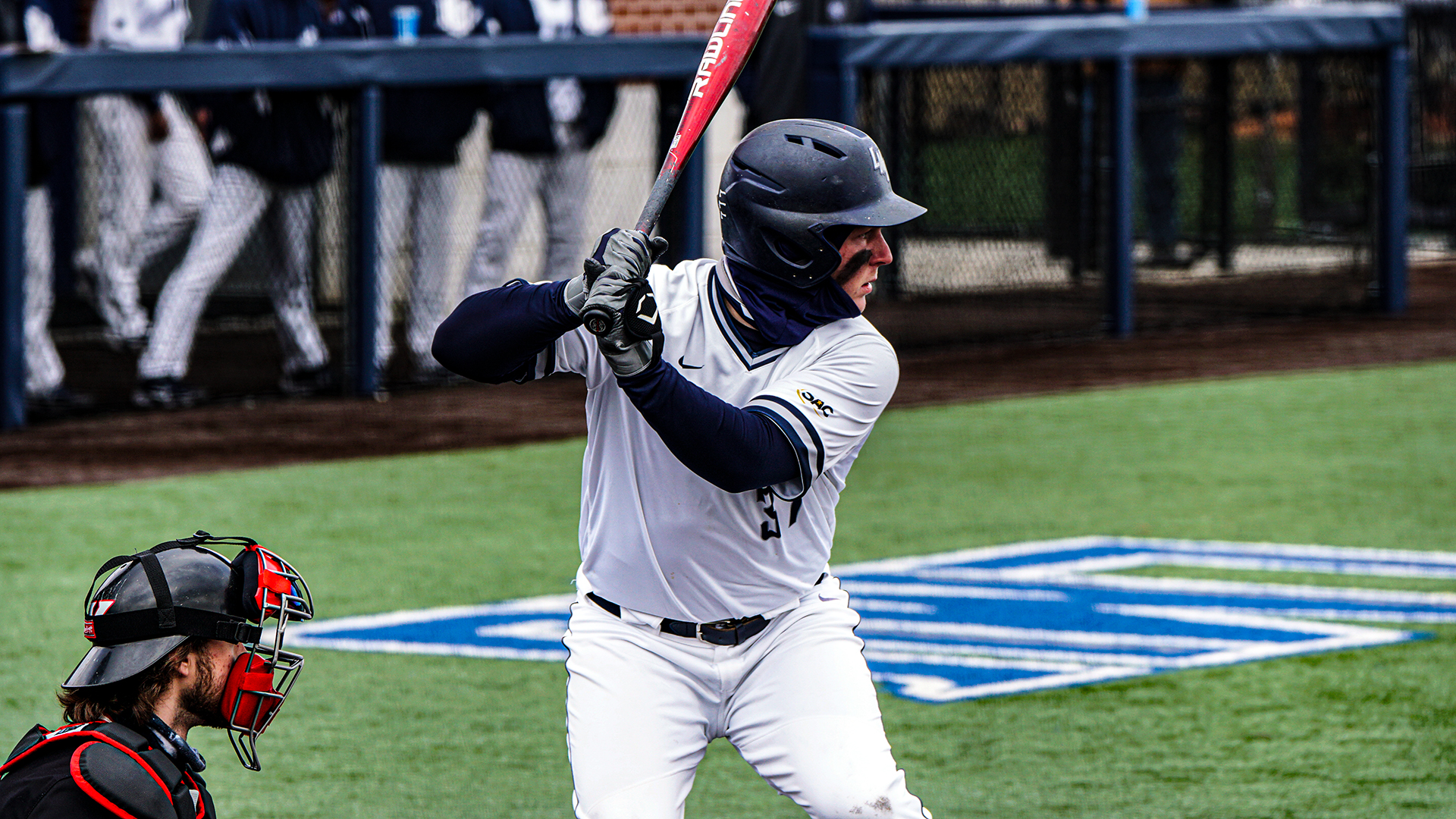 Andrew Keene Baseball Lincoln Memorial University Athletics