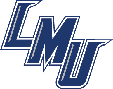 Diagonal LMU Logo