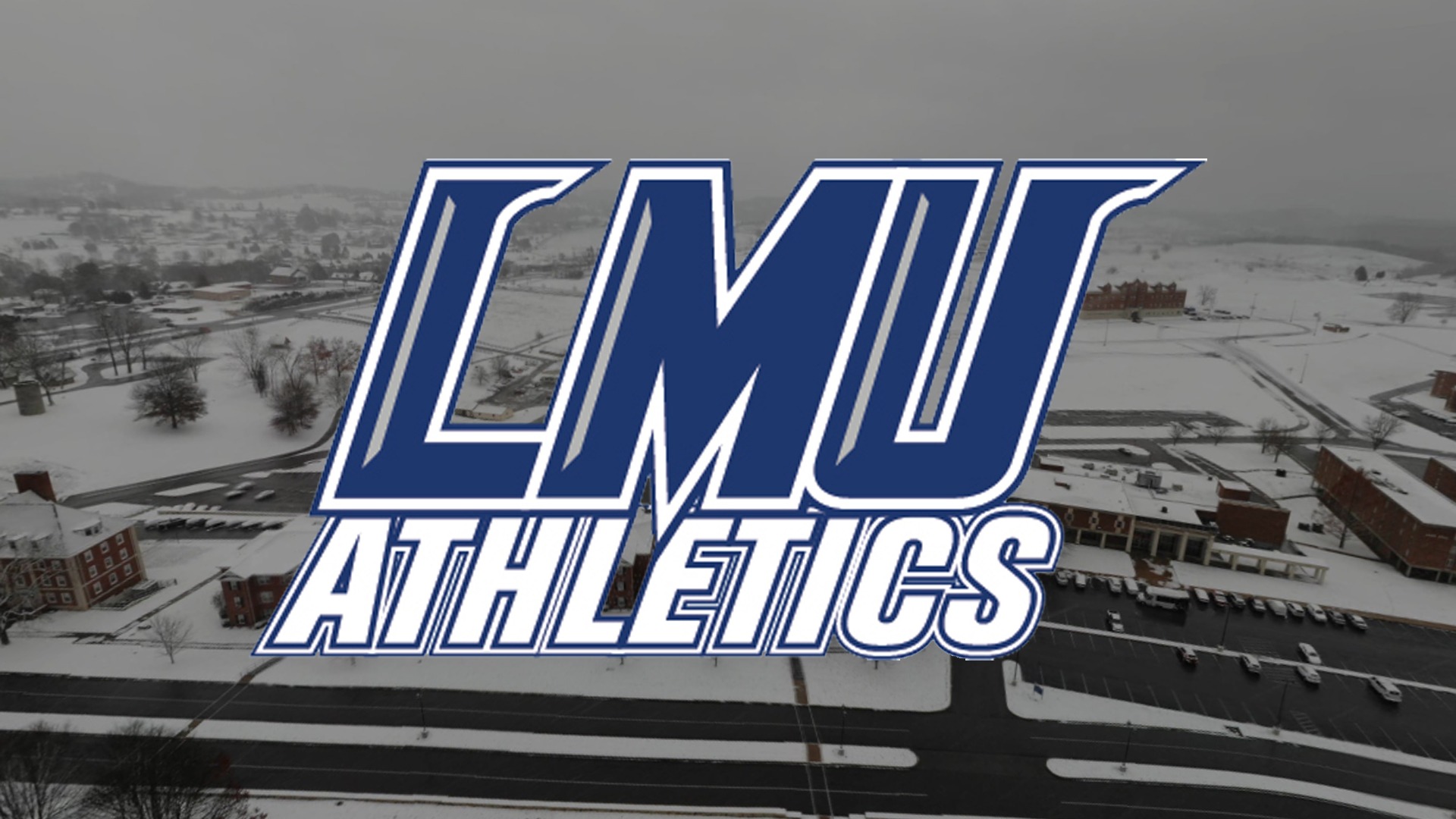 Generic Snow Graphic