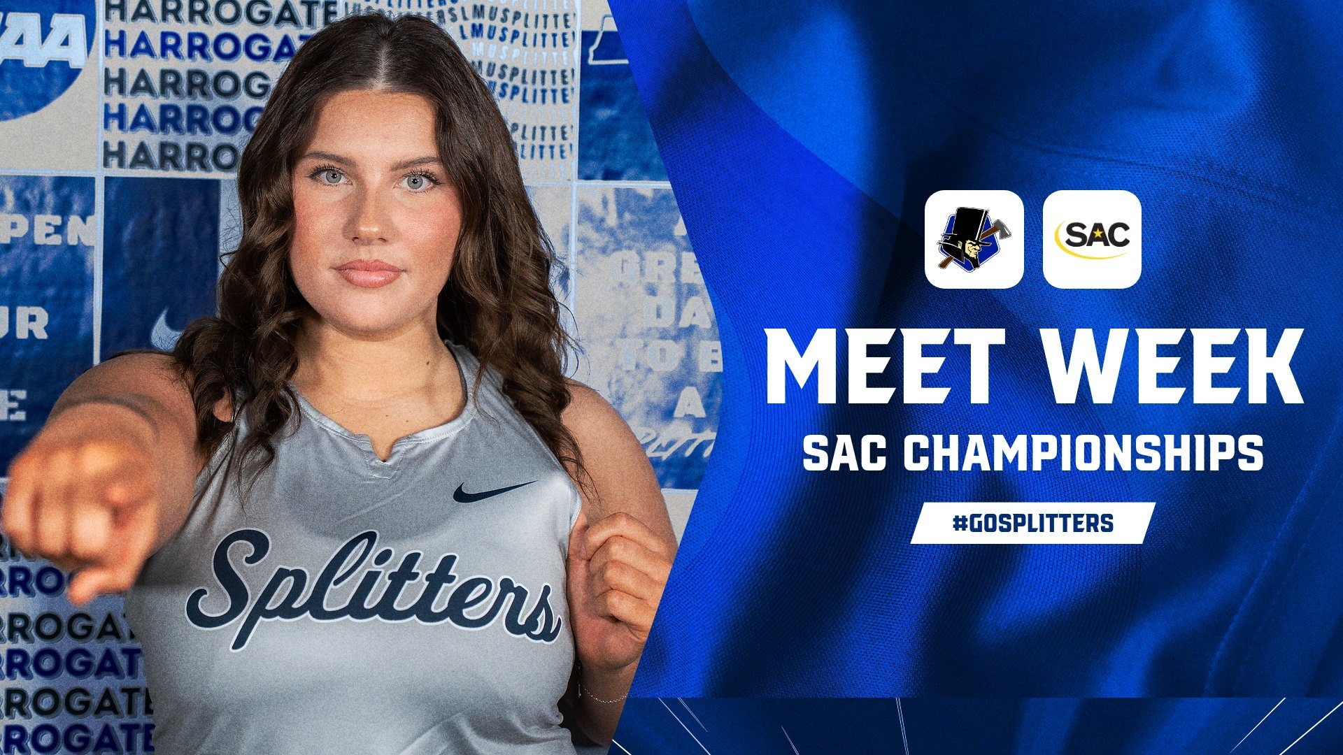 T&F SACC