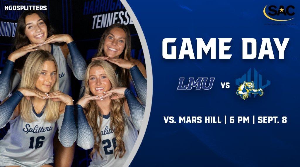 WVB v MHI